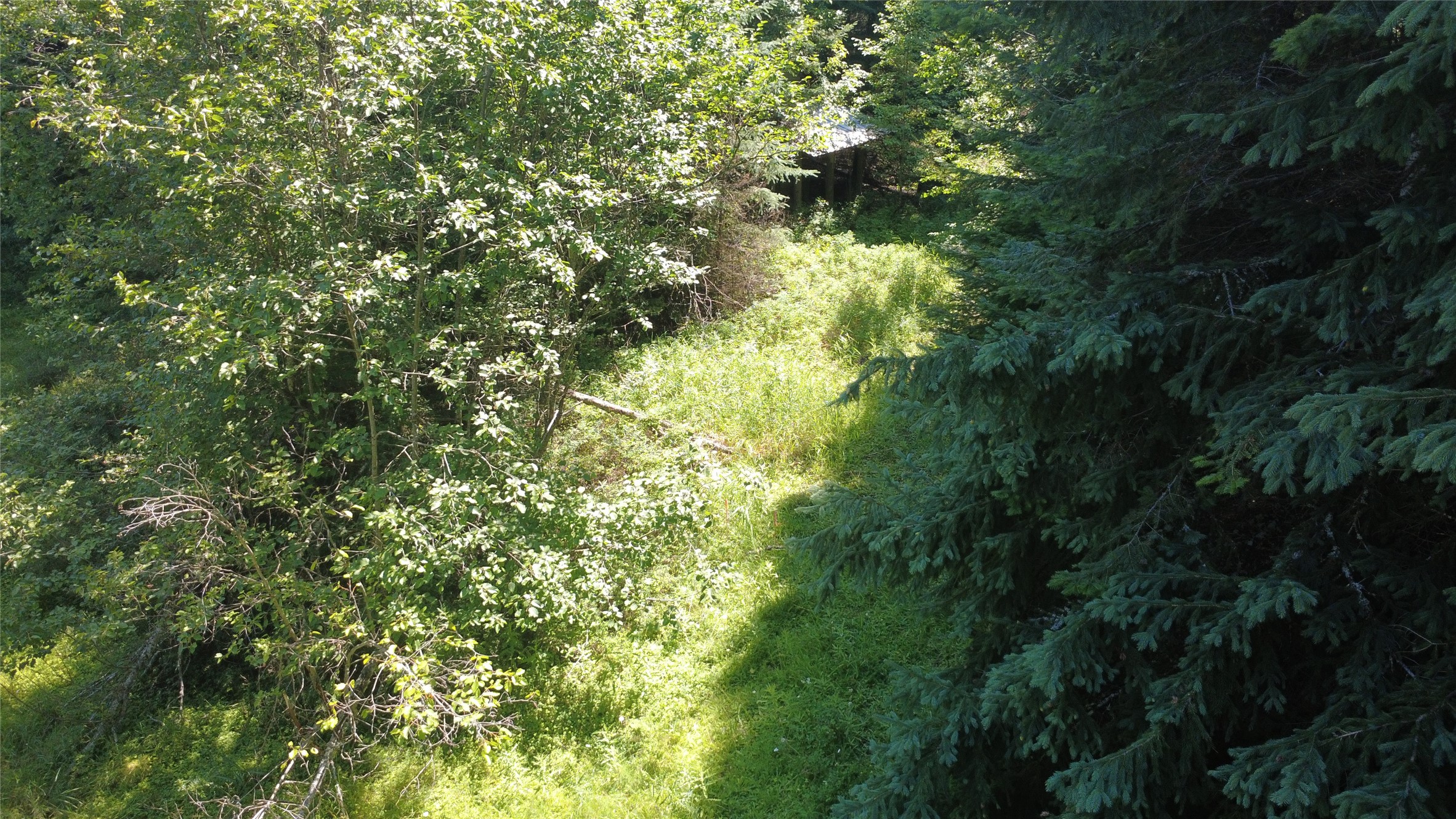 905 Freeman Ridge Road Property Photo 7