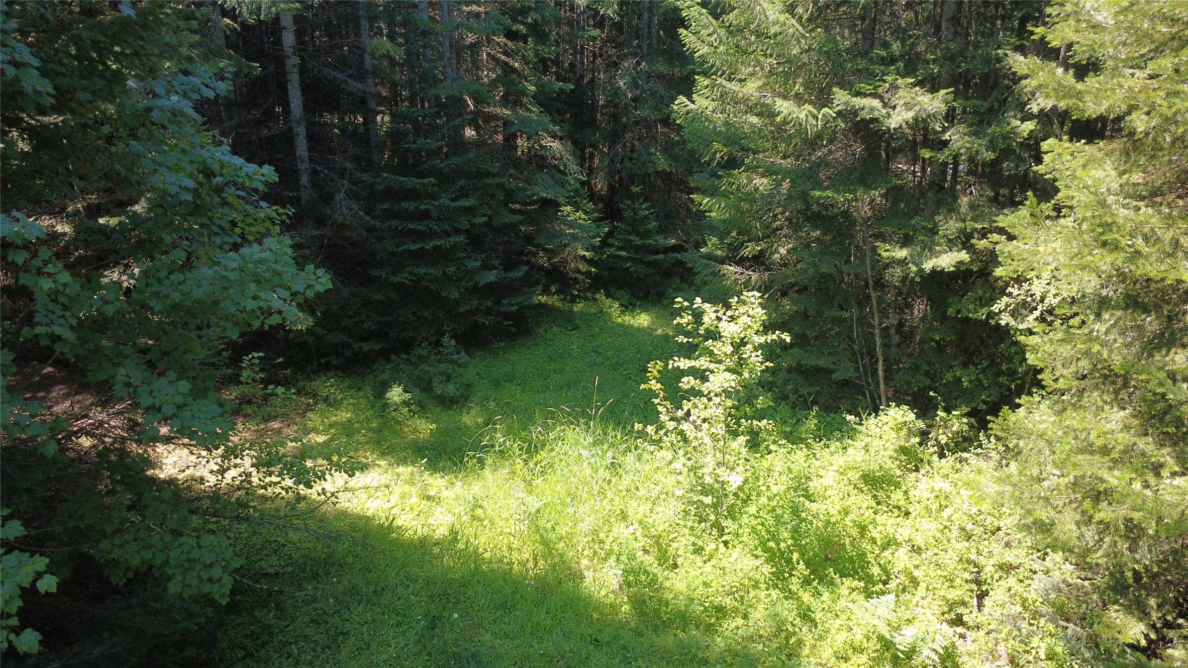 905 Freeman Ridge Road Property Photo 8