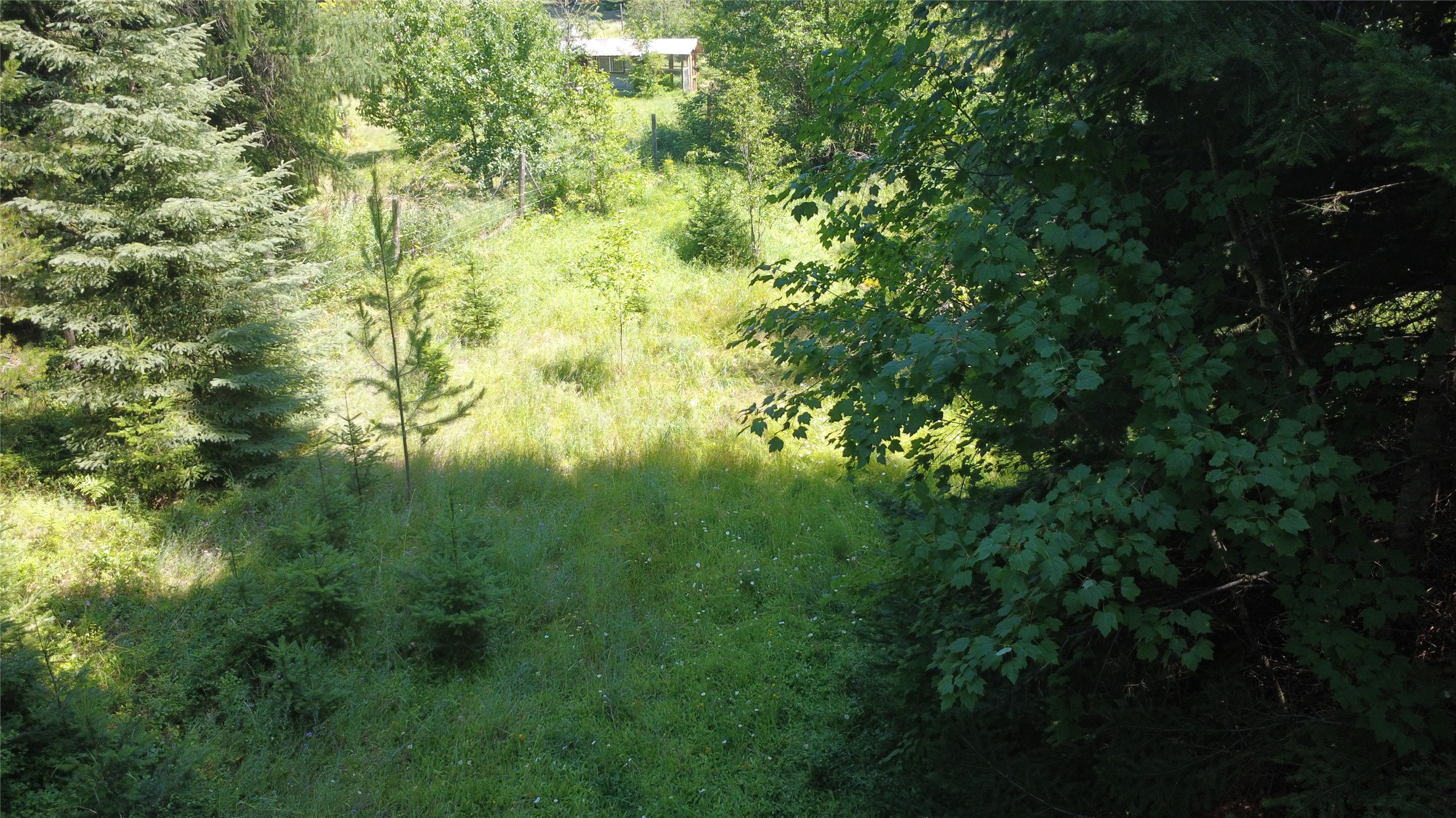 905 Freeman Ridge Road Property Photo 9