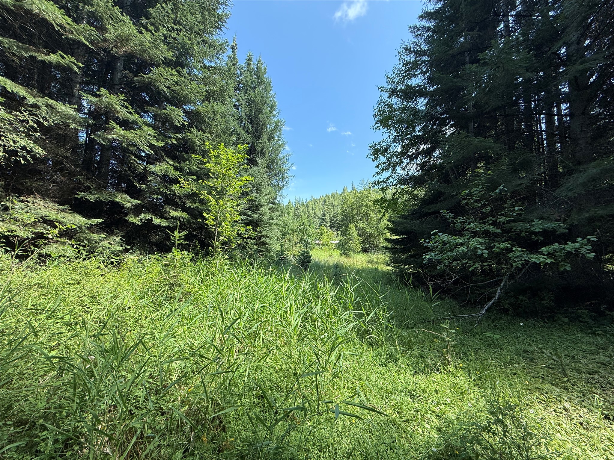 905 Freeman Ridge Road Property Photo 12