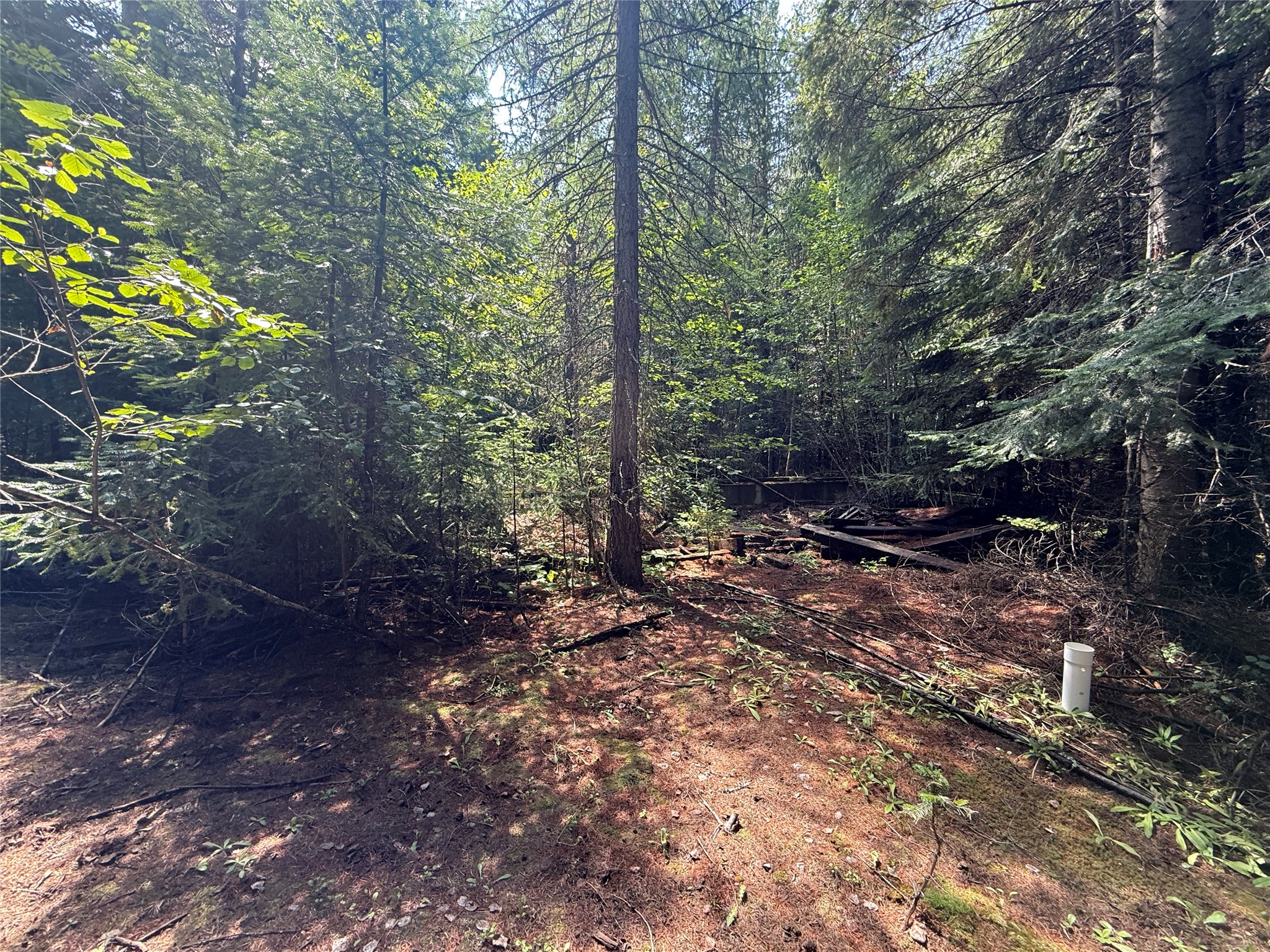 905 Freeman Ridge Road Property Photo 14