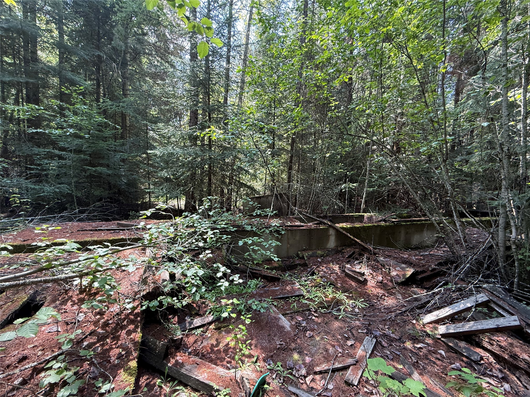 905 Freeman Ridge Road Property Photo 15