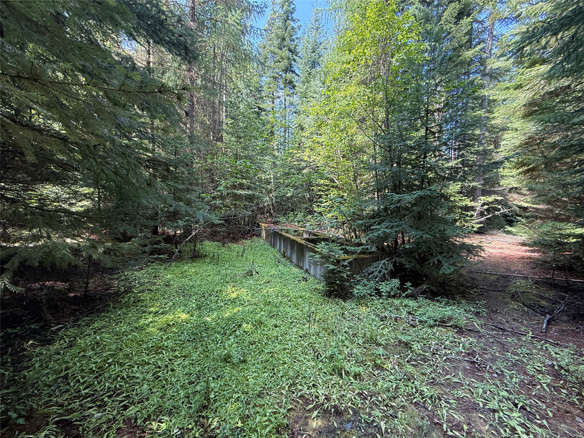 905 Freeman Ridge Road Property Photo 16