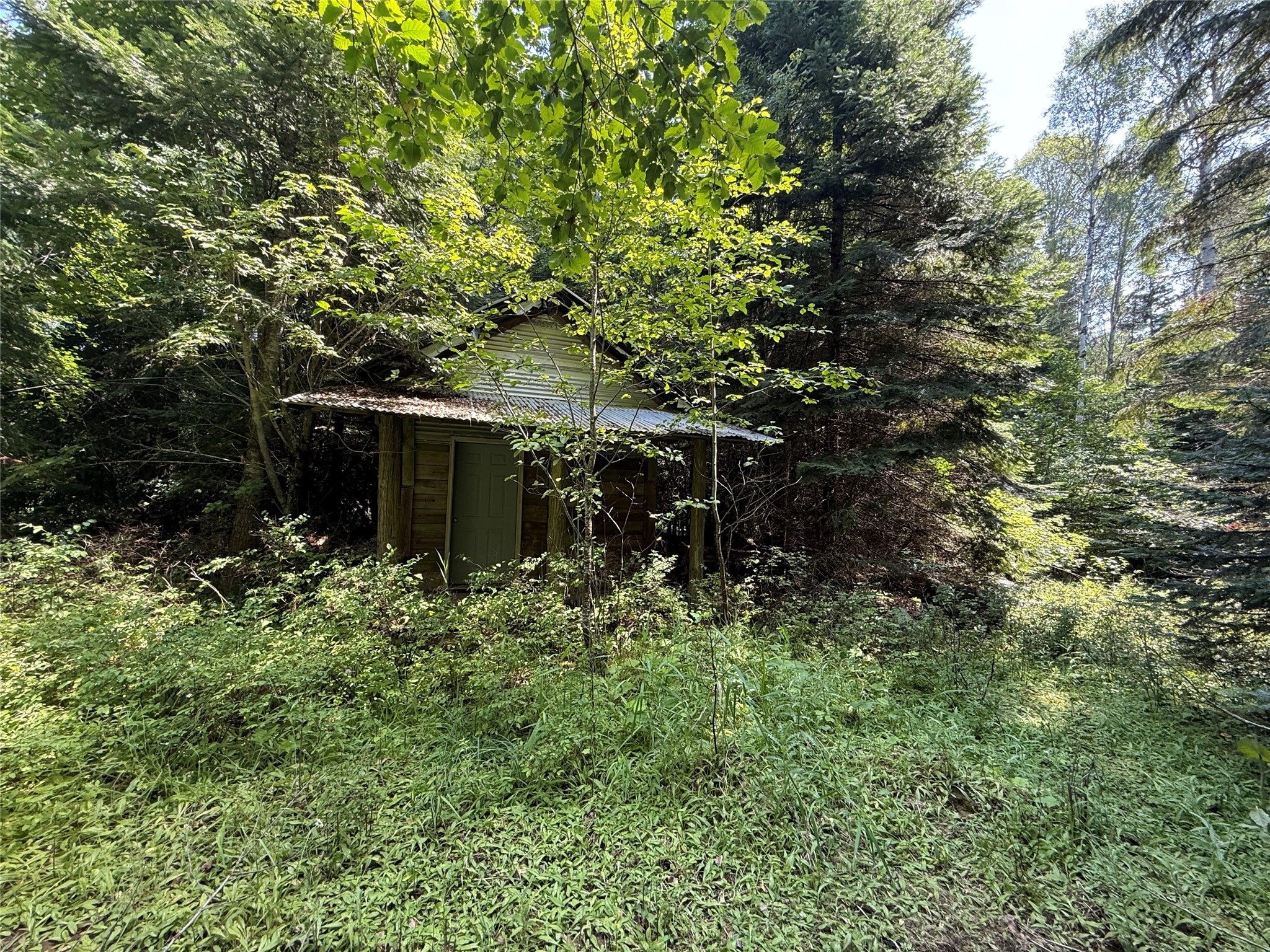 905 Freeman Ridge Road Property Photo 17