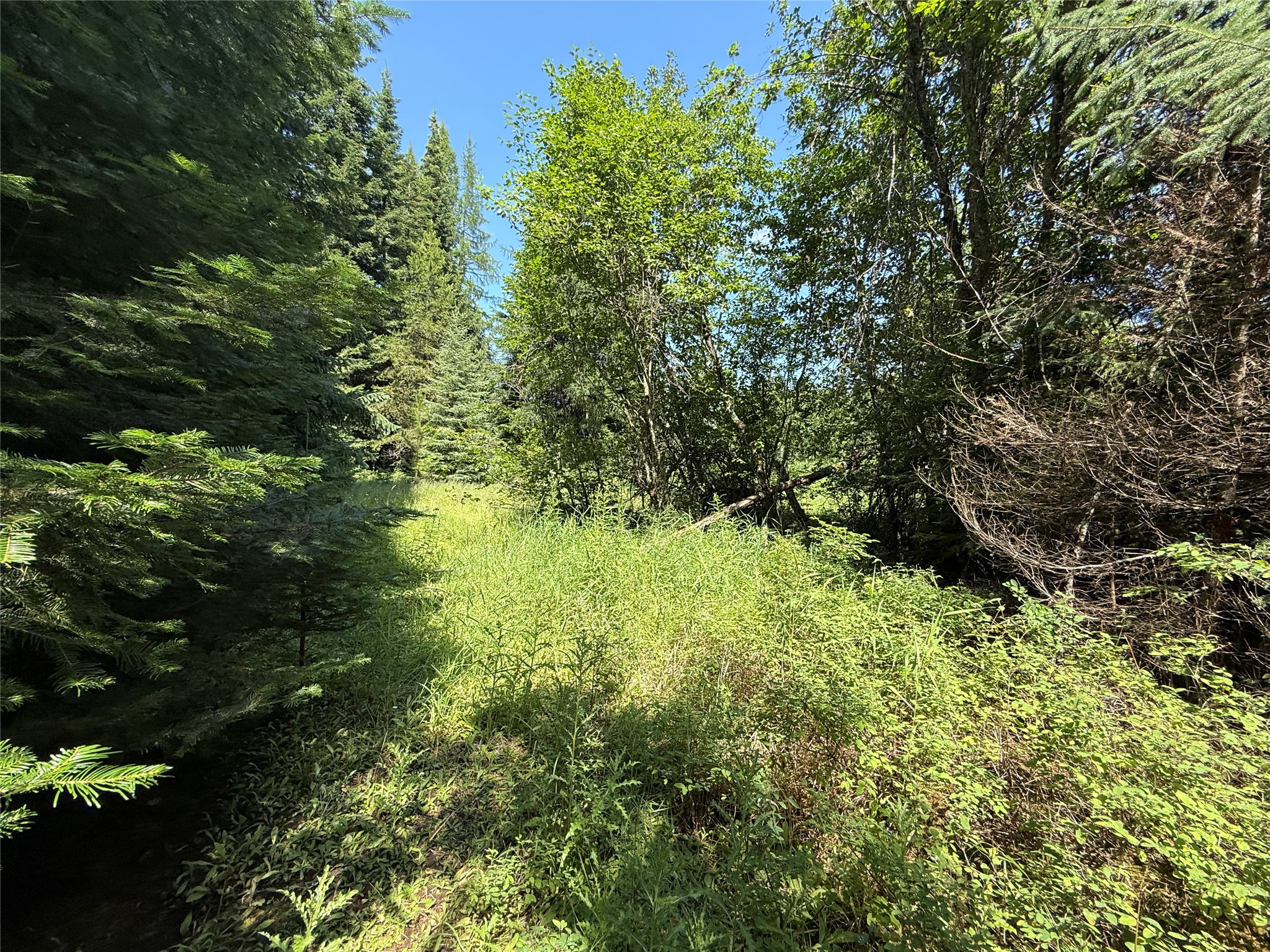 905 Freeman Ridge Road Property Photo 18