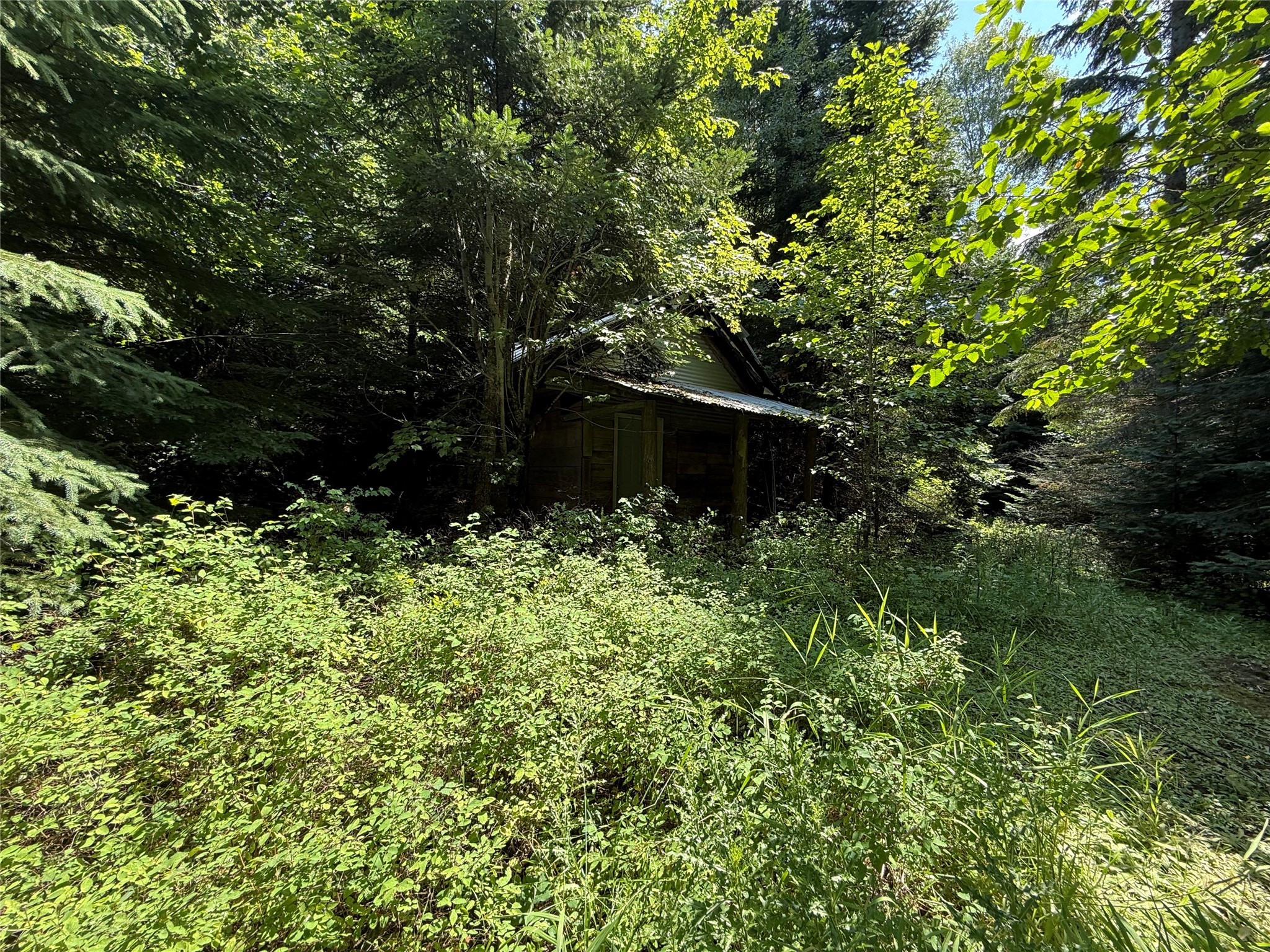 905 Freeman Ridge Road Property Photo 19