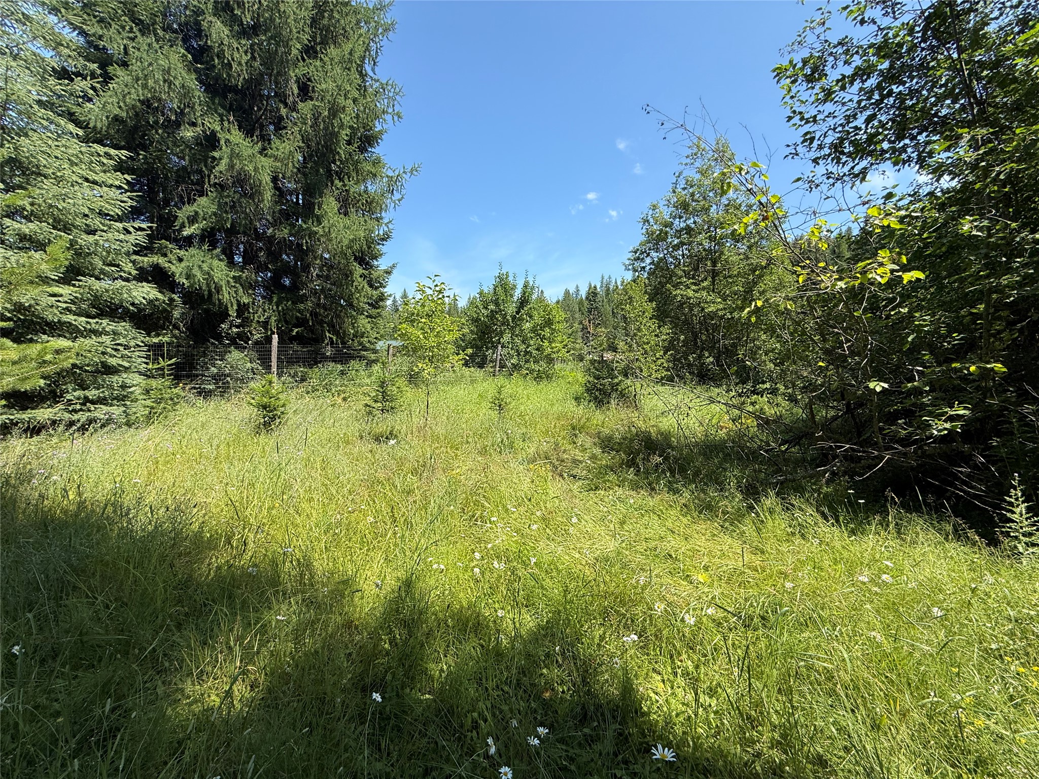 905 Freeman Ridge Road Property Photo 20