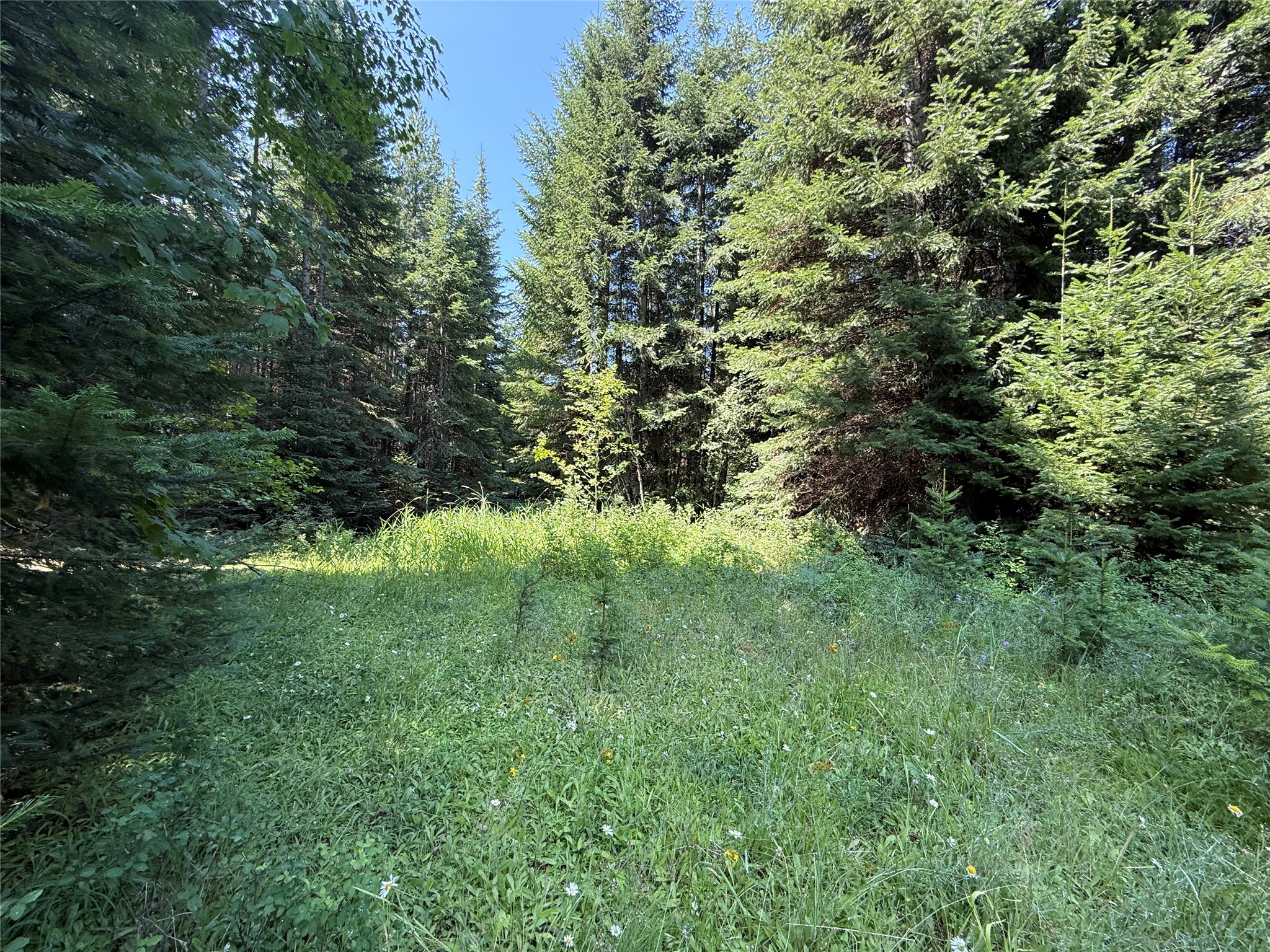 905 Freeman Ridge Road Property Photo 21