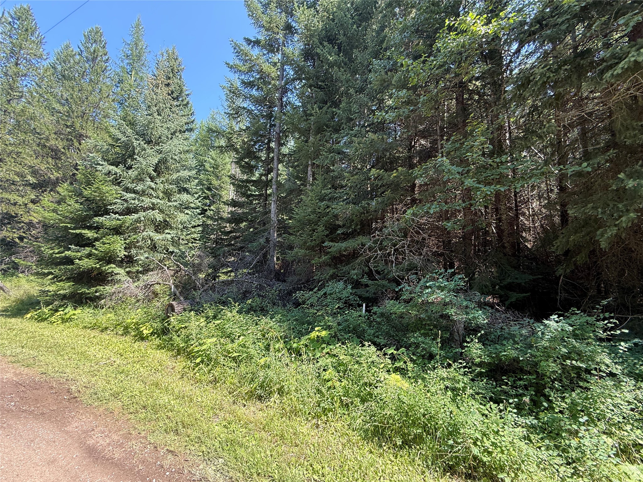 905 Freeman Ridge Road Property Photo 23