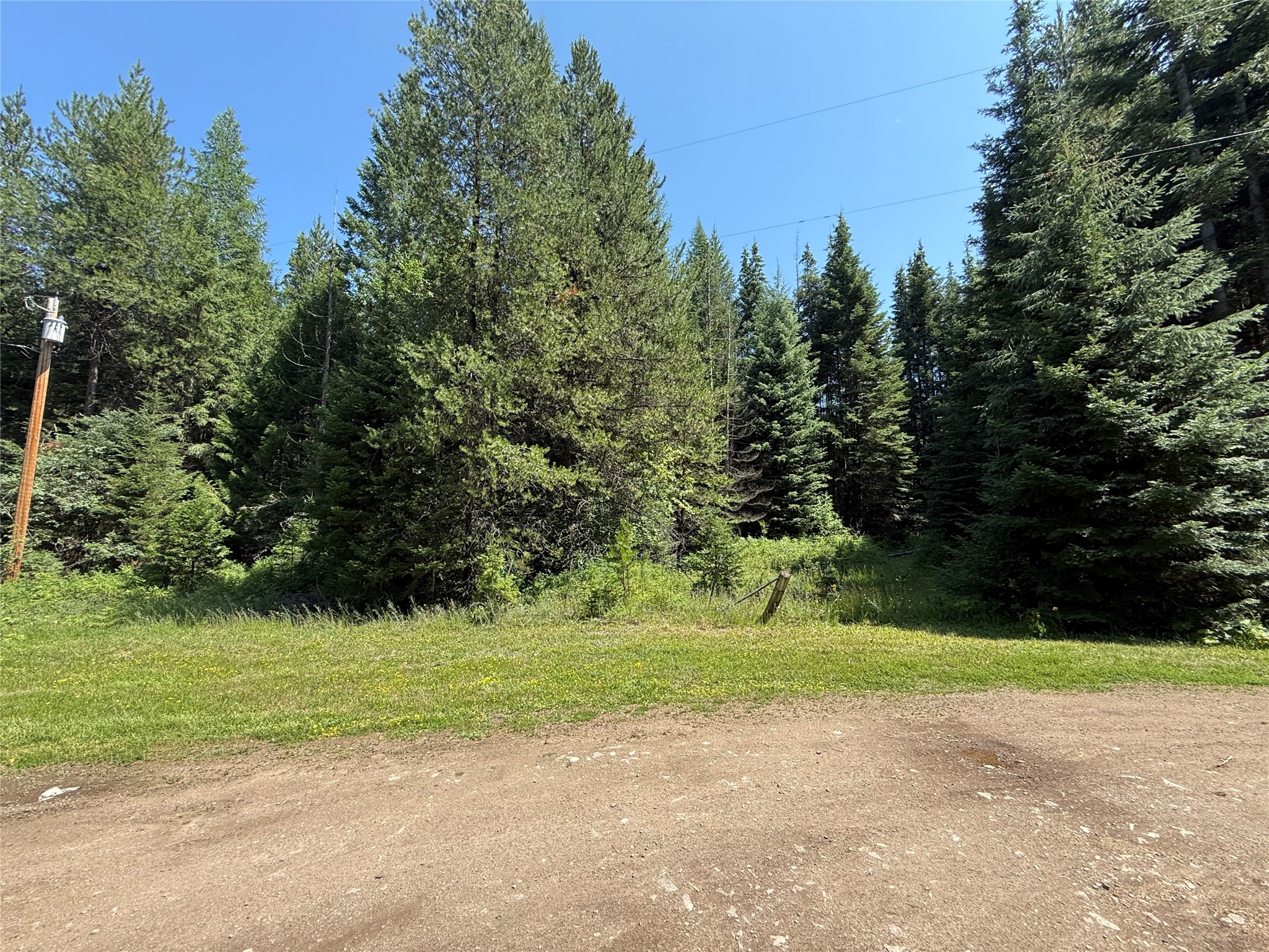 905 Freeman Ridge Road Property Photo 26