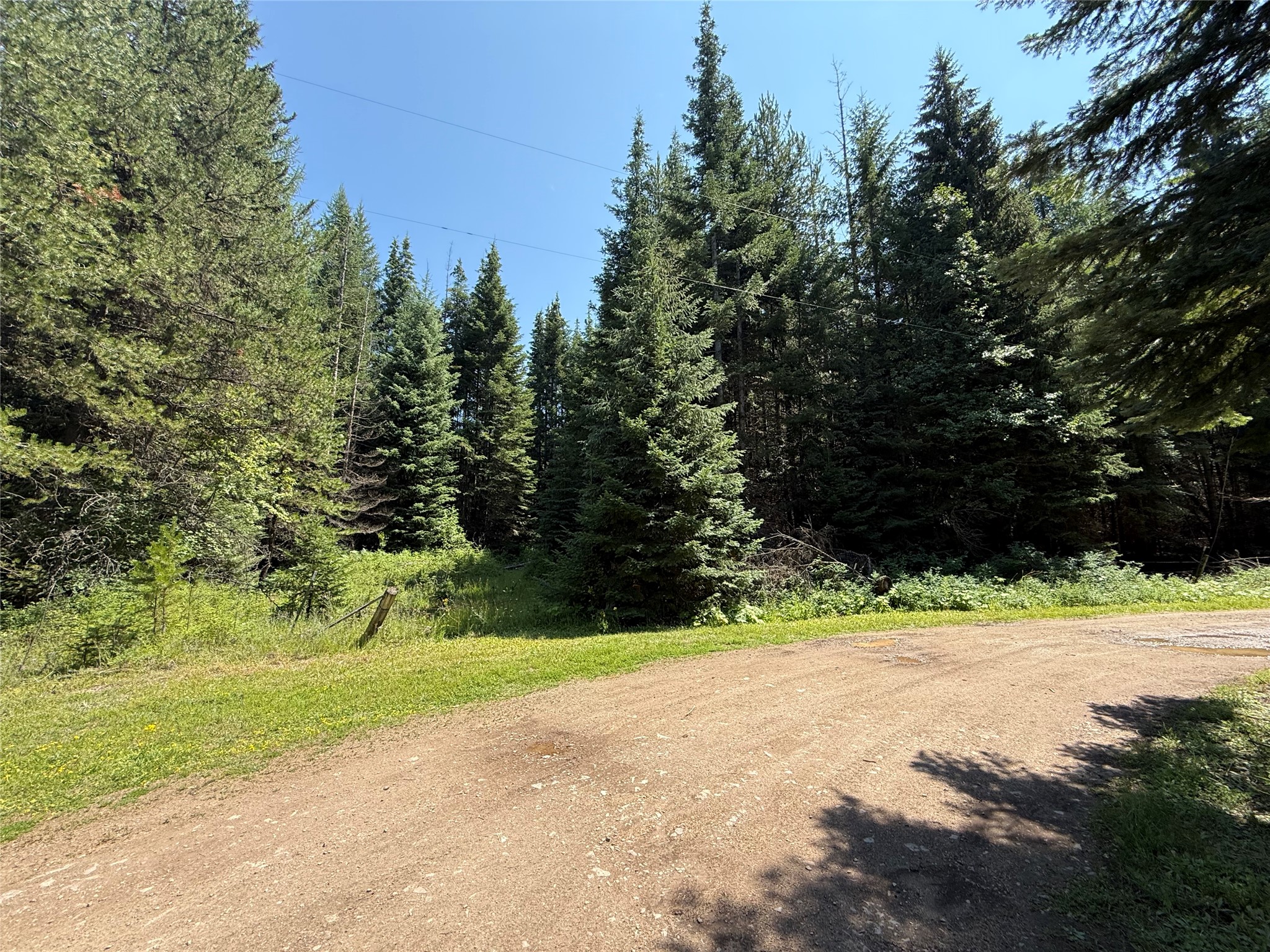 905 Freeman Ridge Road Property Photo 27