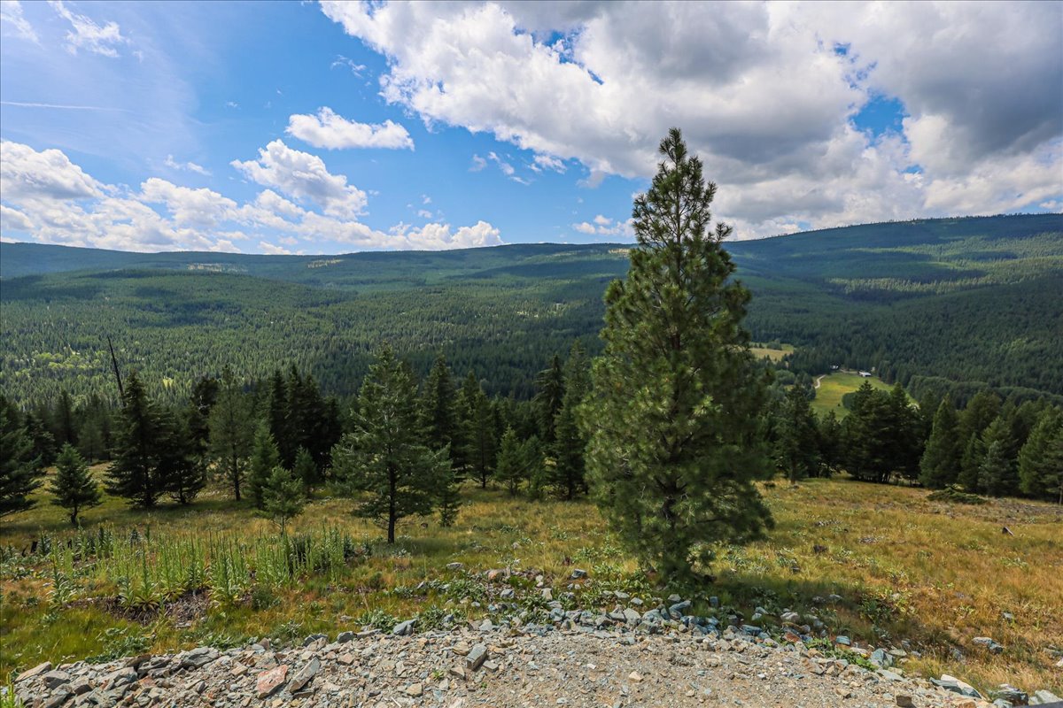 1675 Virginia Hill Road Property Photo 1