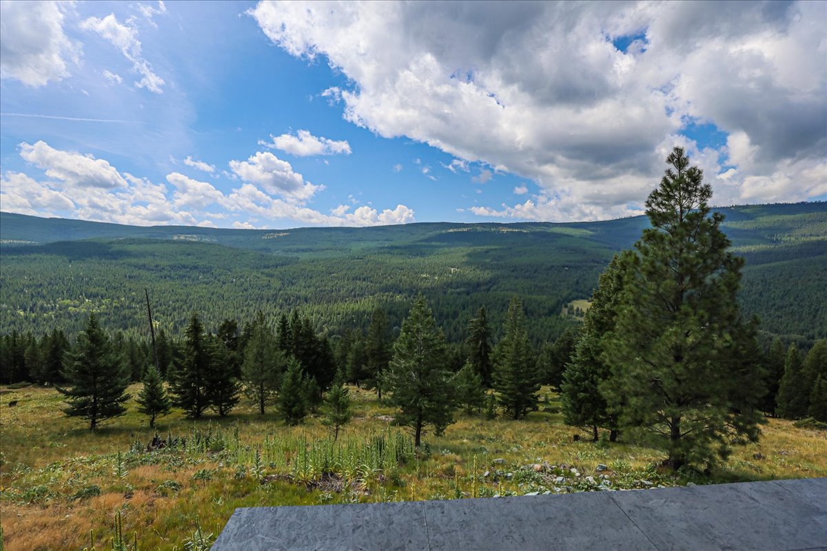 1675 Virginia Hill Road Property Photo 4