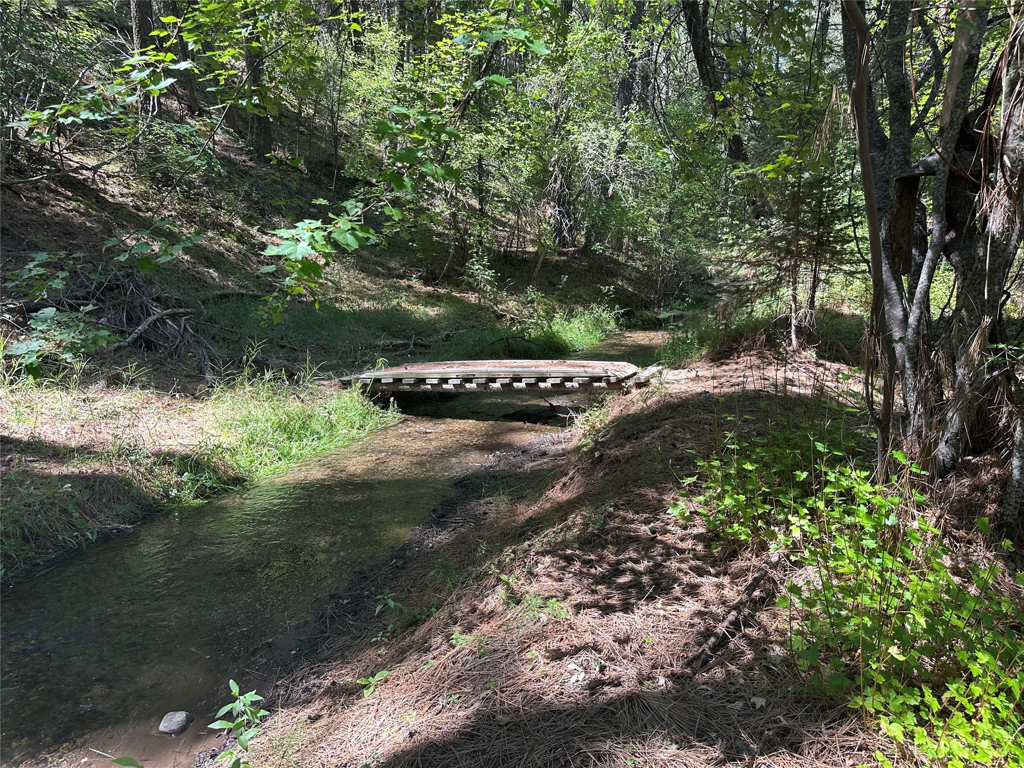 10365 Miller Creek Road Property Photo 5