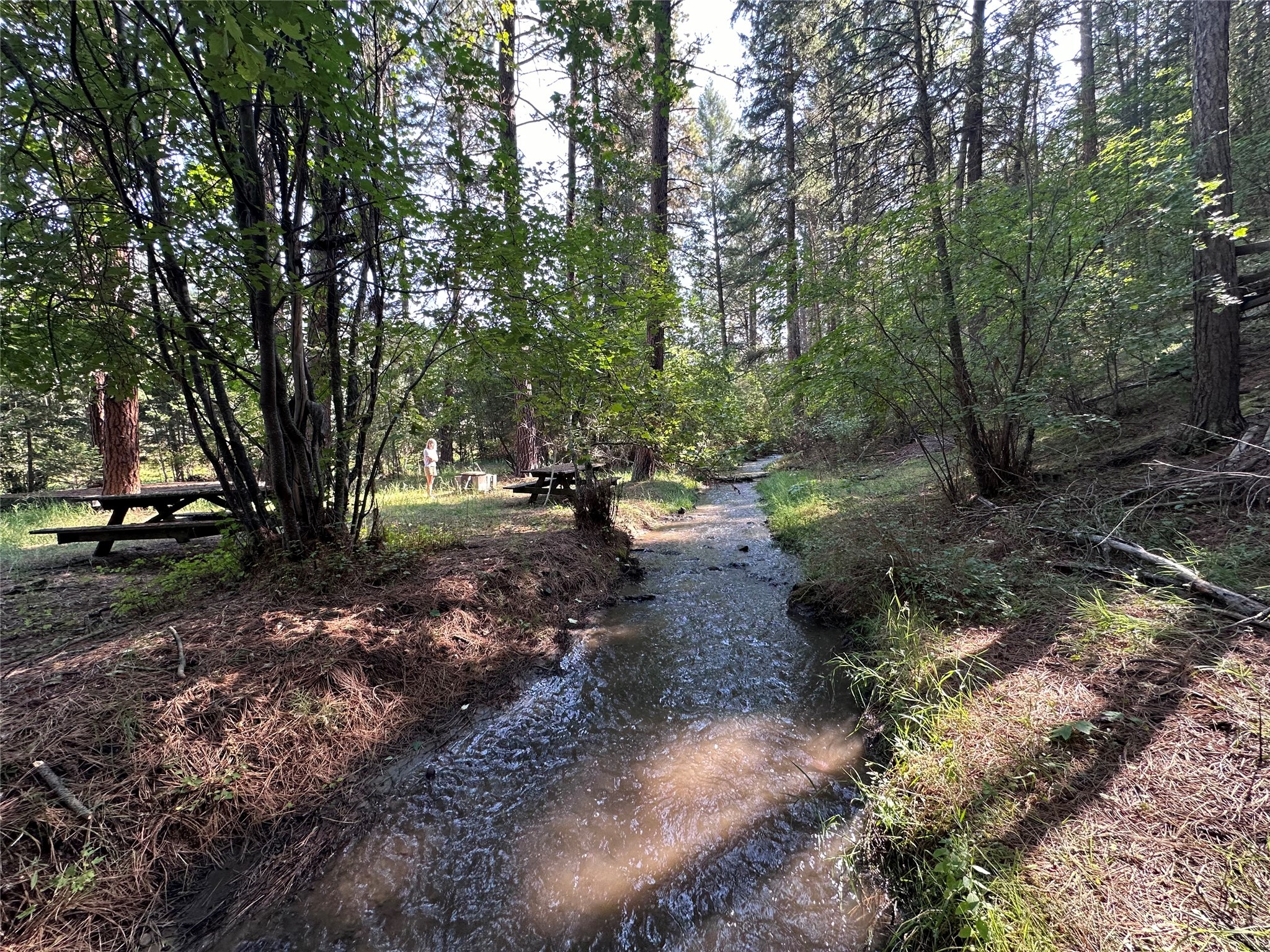 10365 Miller Creek Road Property Photo 74