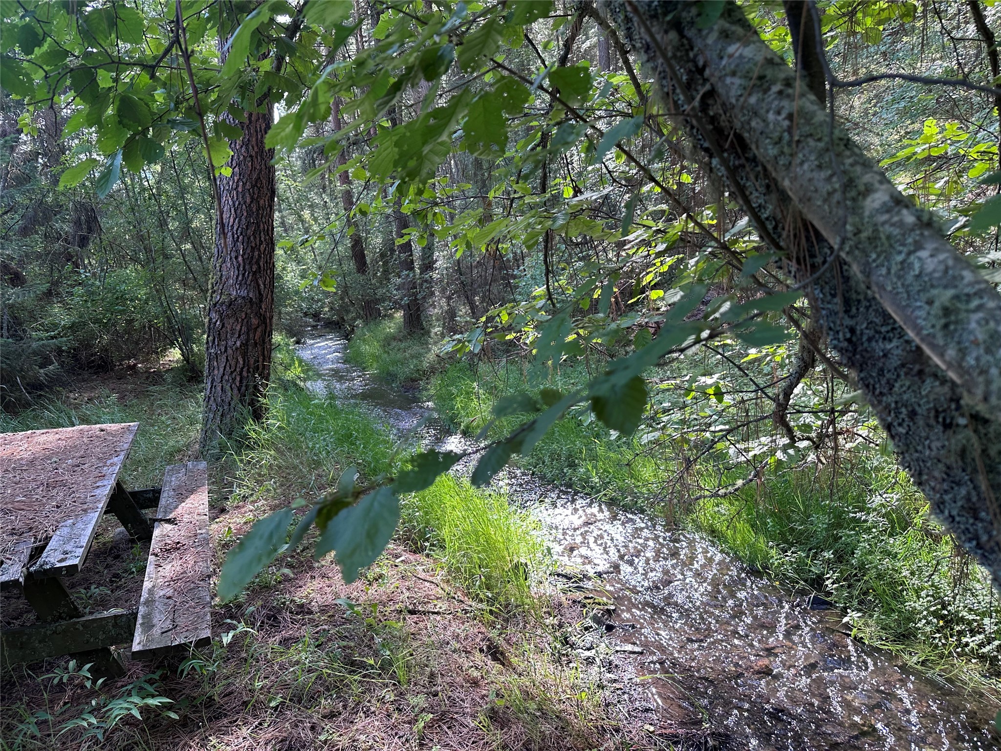 10365 Miller Creek Road Property Photo 75