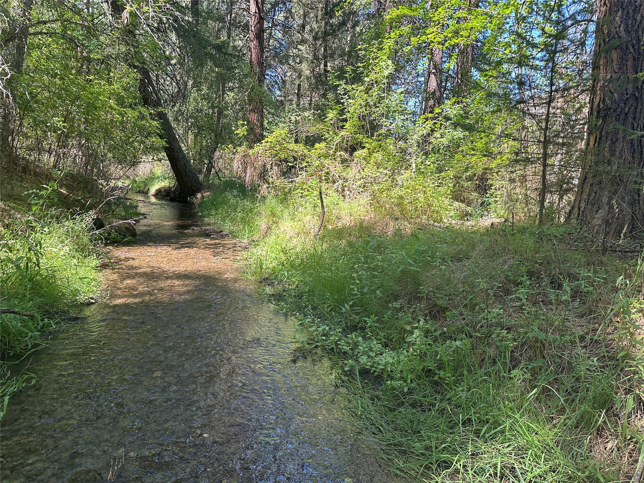 10365 Miller Creek Road Property Photo 76