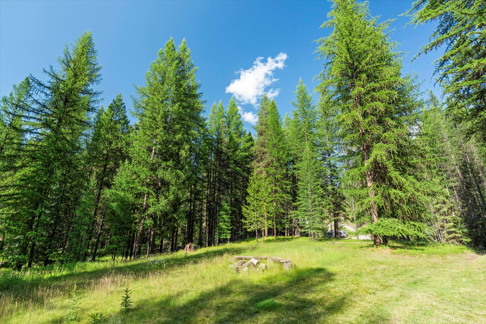 882 Tamarack Lane Property Photo 28