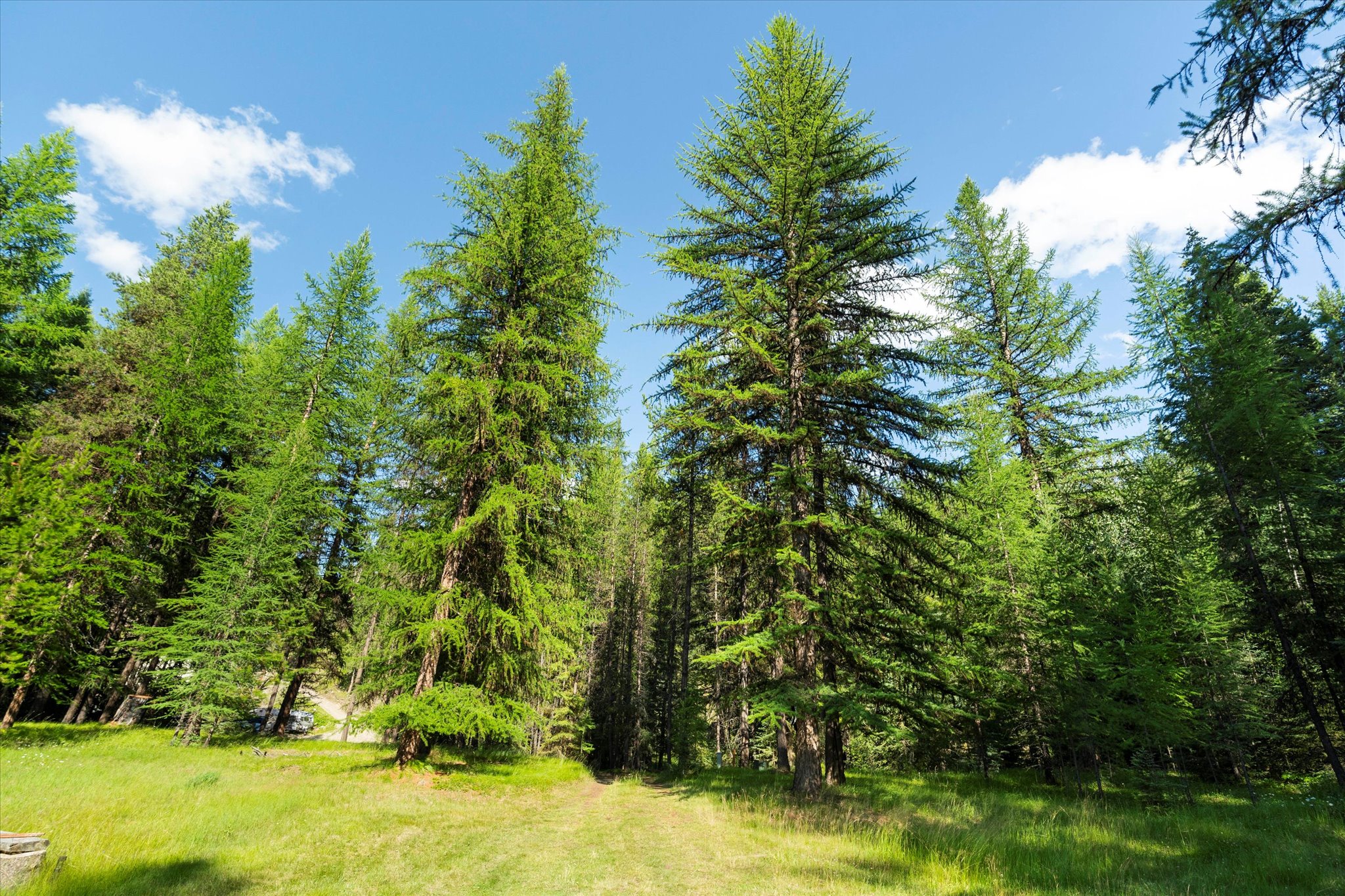 882 Tamarack Lane Property Photo 29