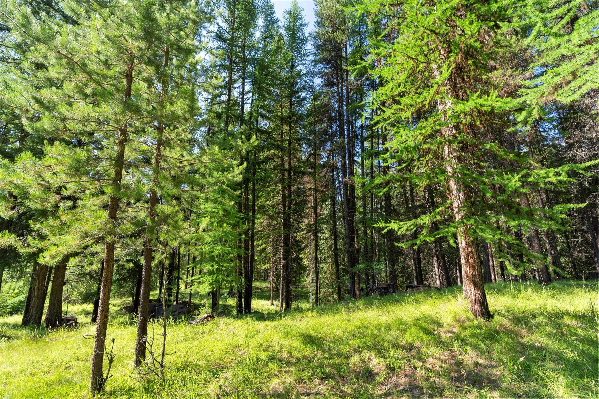 882 Tamarack Lane Property Photo 31