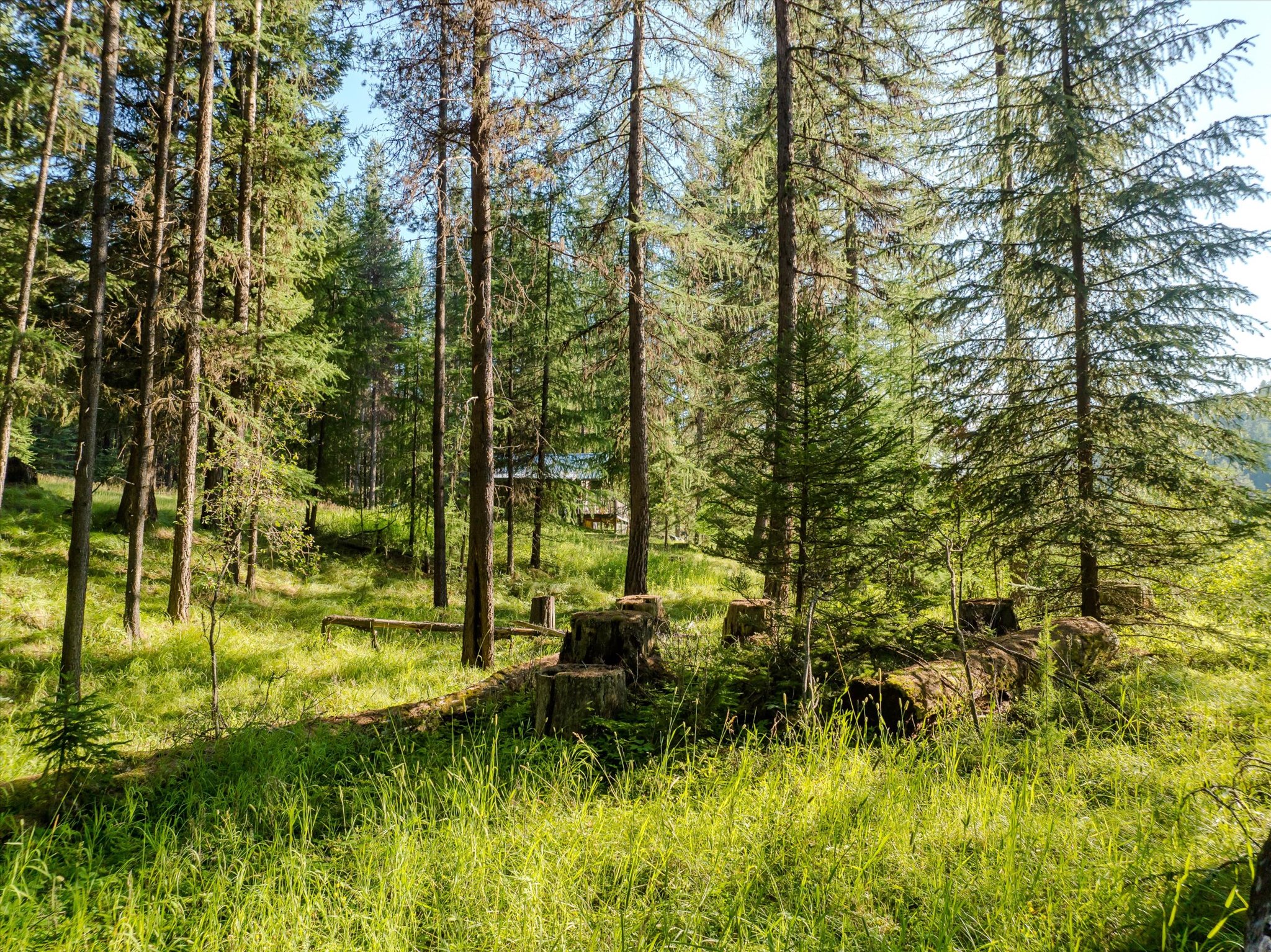 882 Tamarack Lane Property Photo 41