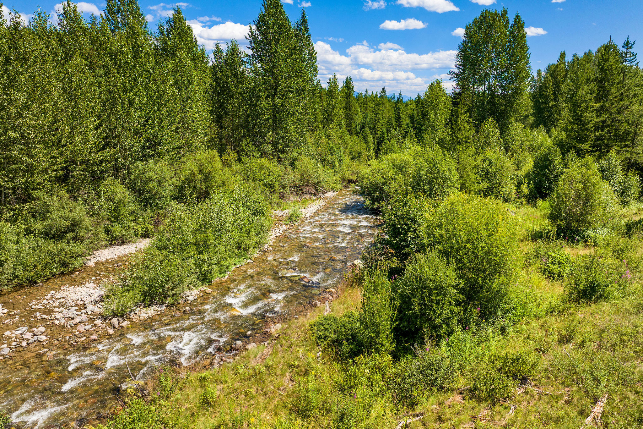 11680 North Fork Road Property Photo 4