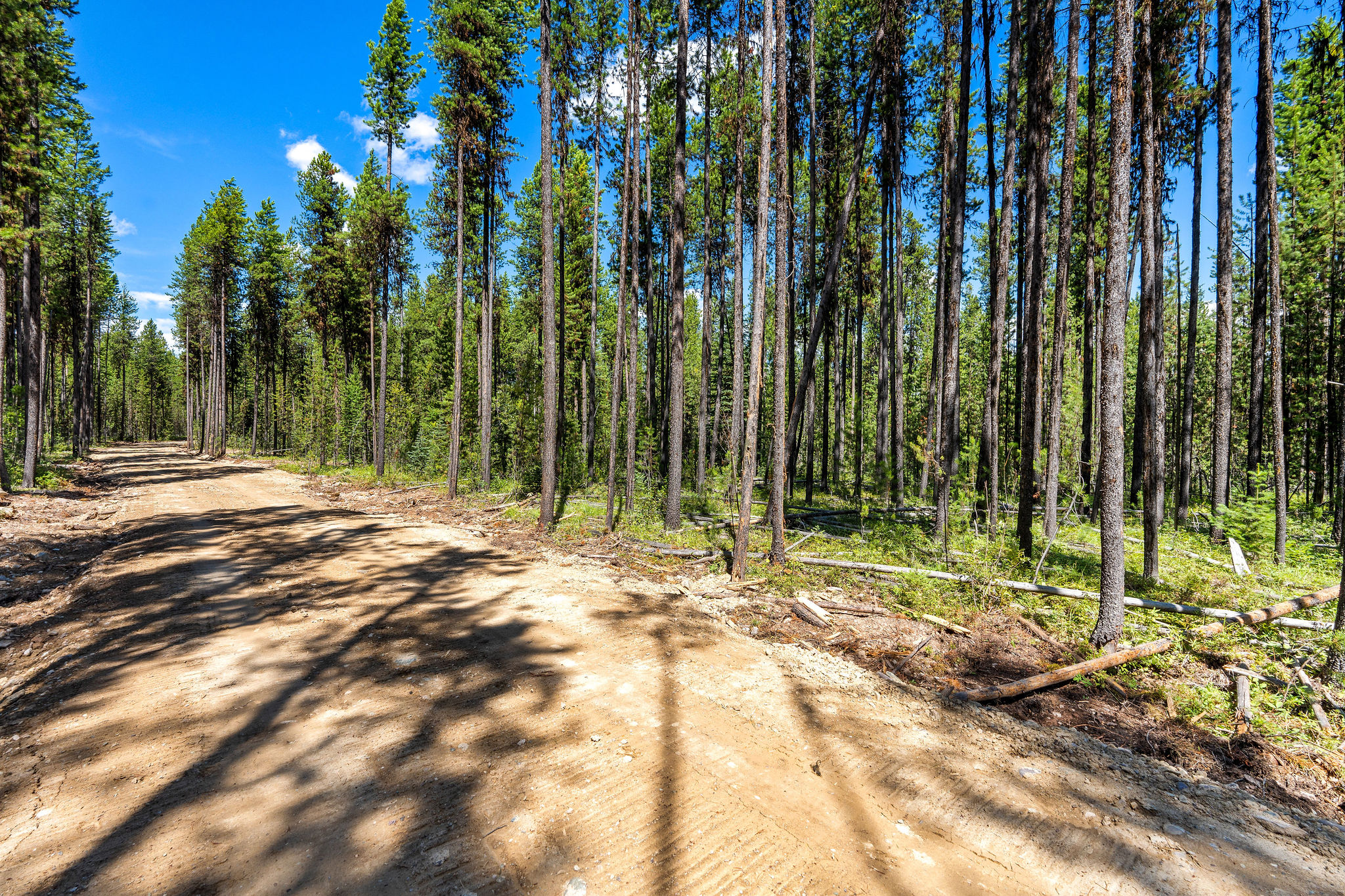 11680 North Fork Road Property Photo 14