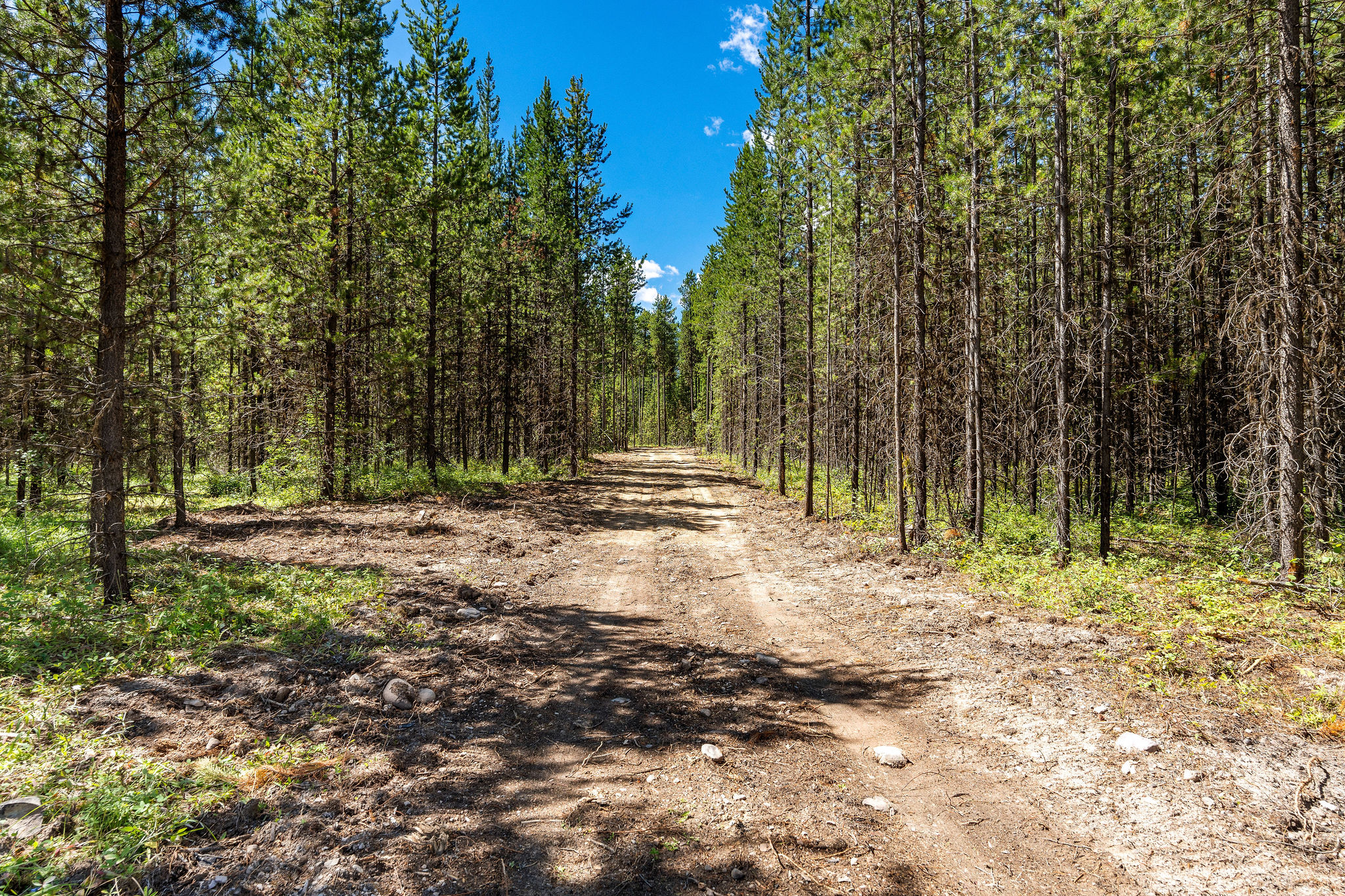 11680 North Fork Road Property Photo 18
