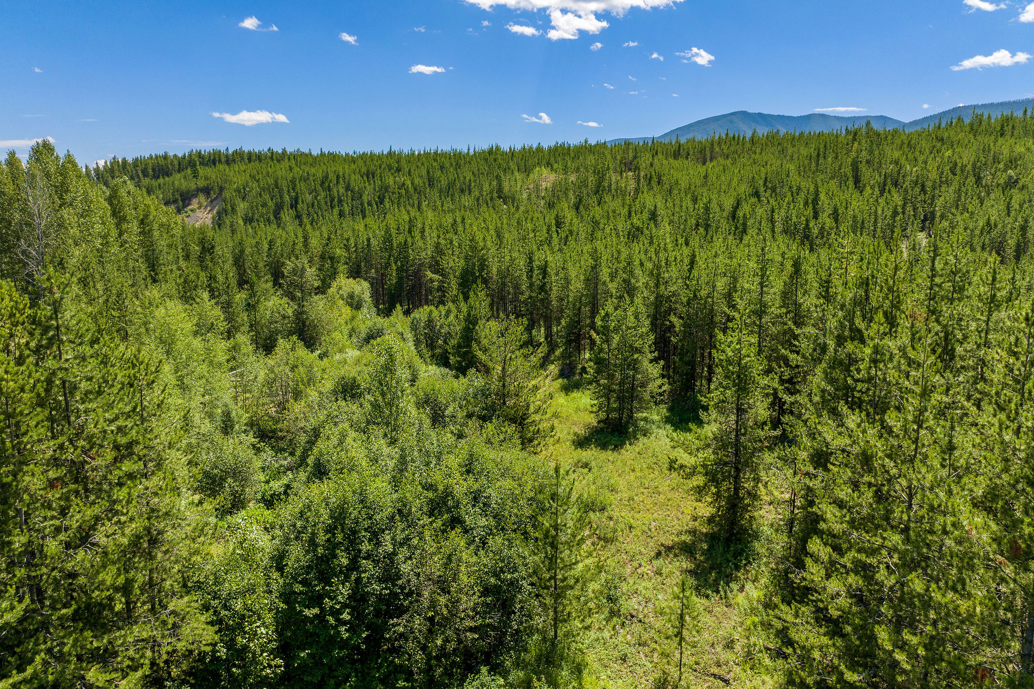 11680 North Fork Road Property Photo 31