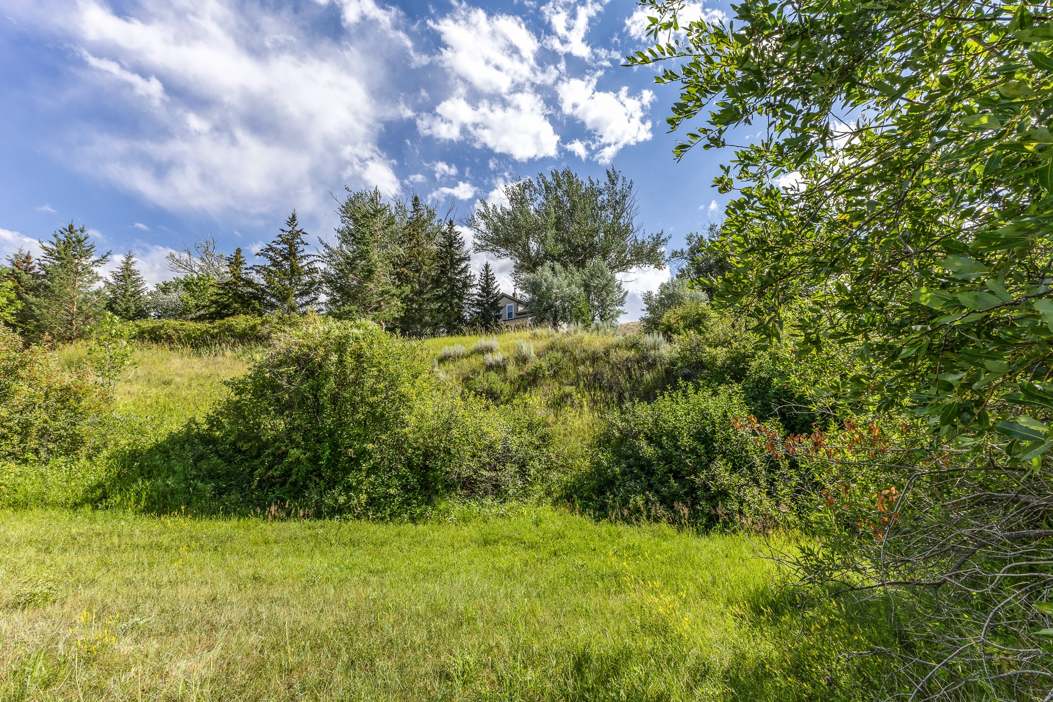 6 Washoe Circle Property Photo 14