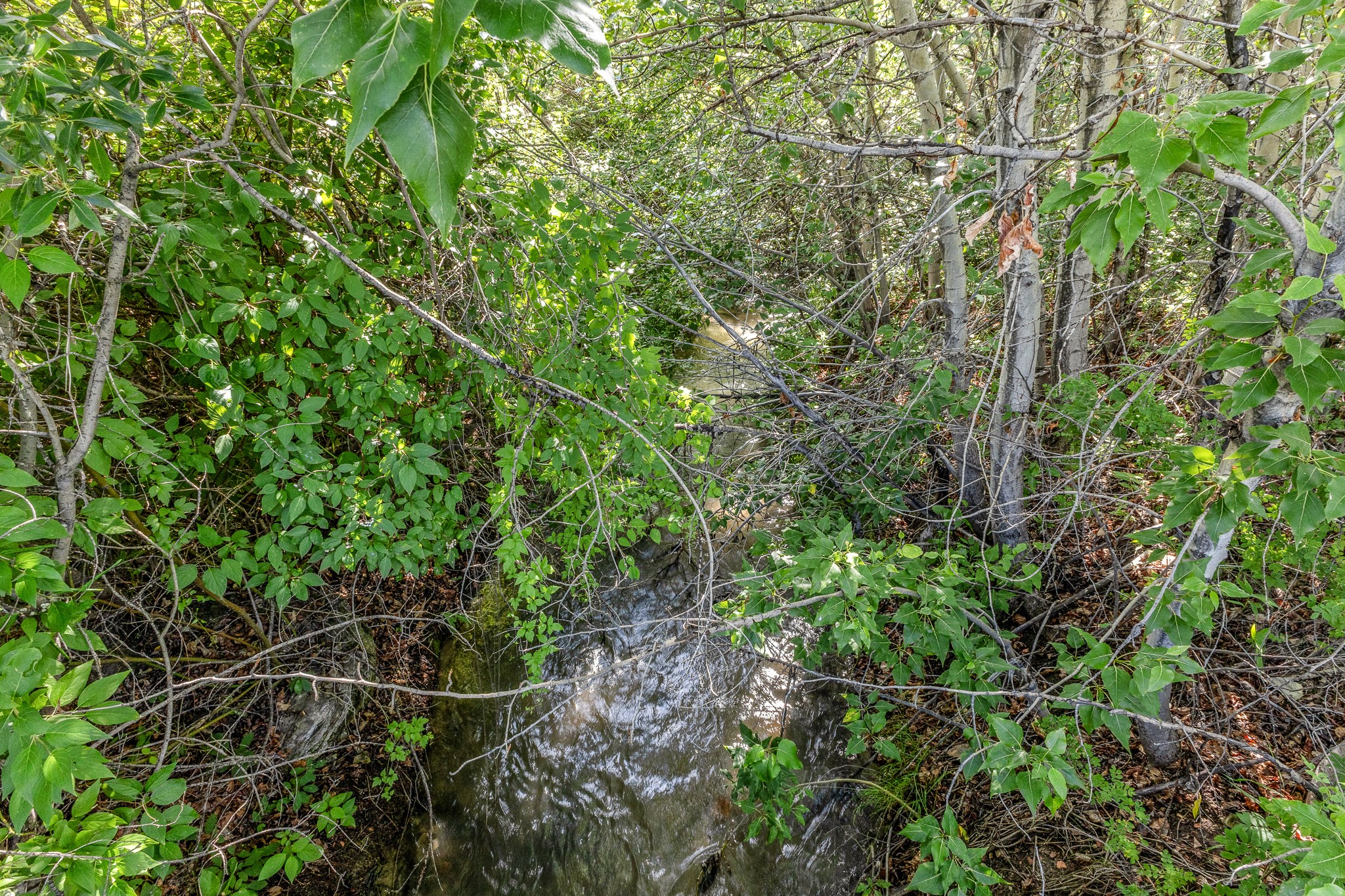 6 Washoe Circle Property Photo 15