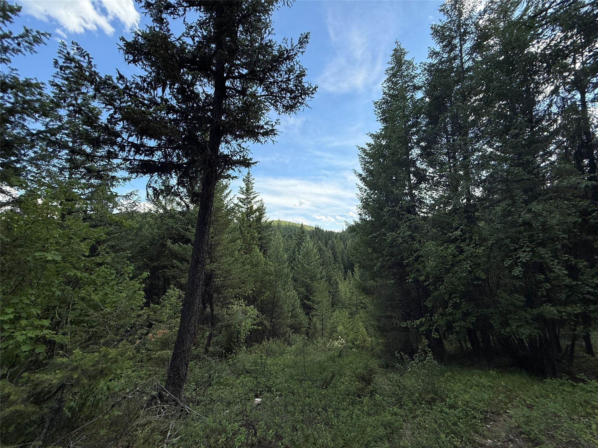 Nhn Yelping Coyote Run Property Photo 1