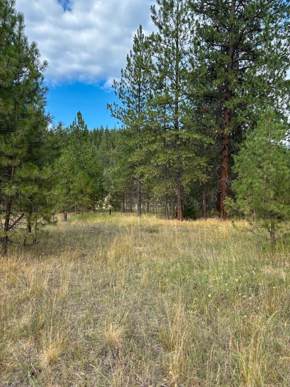 8059 Mullan Road E Property Photo 1
