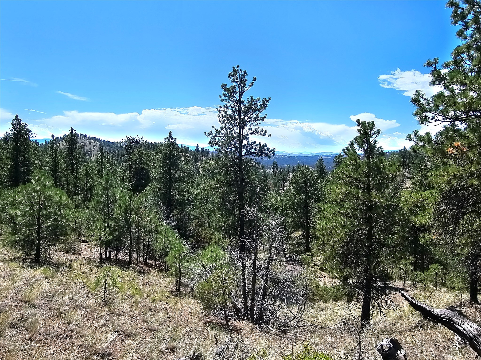 Nhn Upper Sawmill Creek Road Property Photo 1