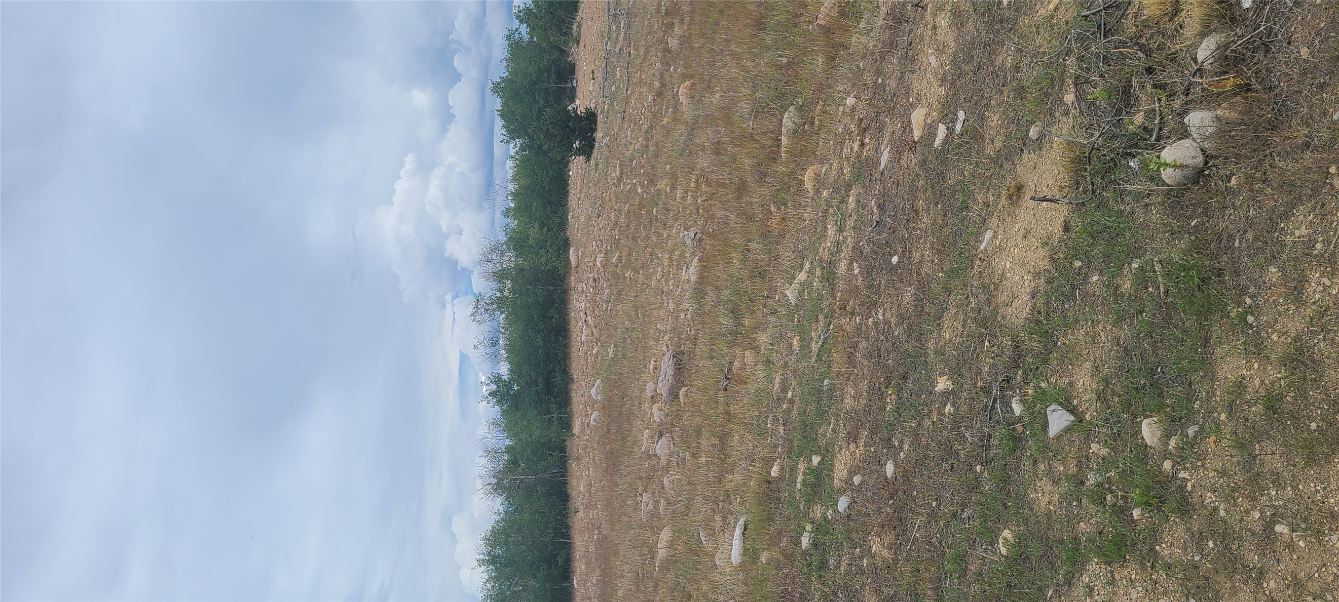 309 Bear Paw Trail Property Photo 31