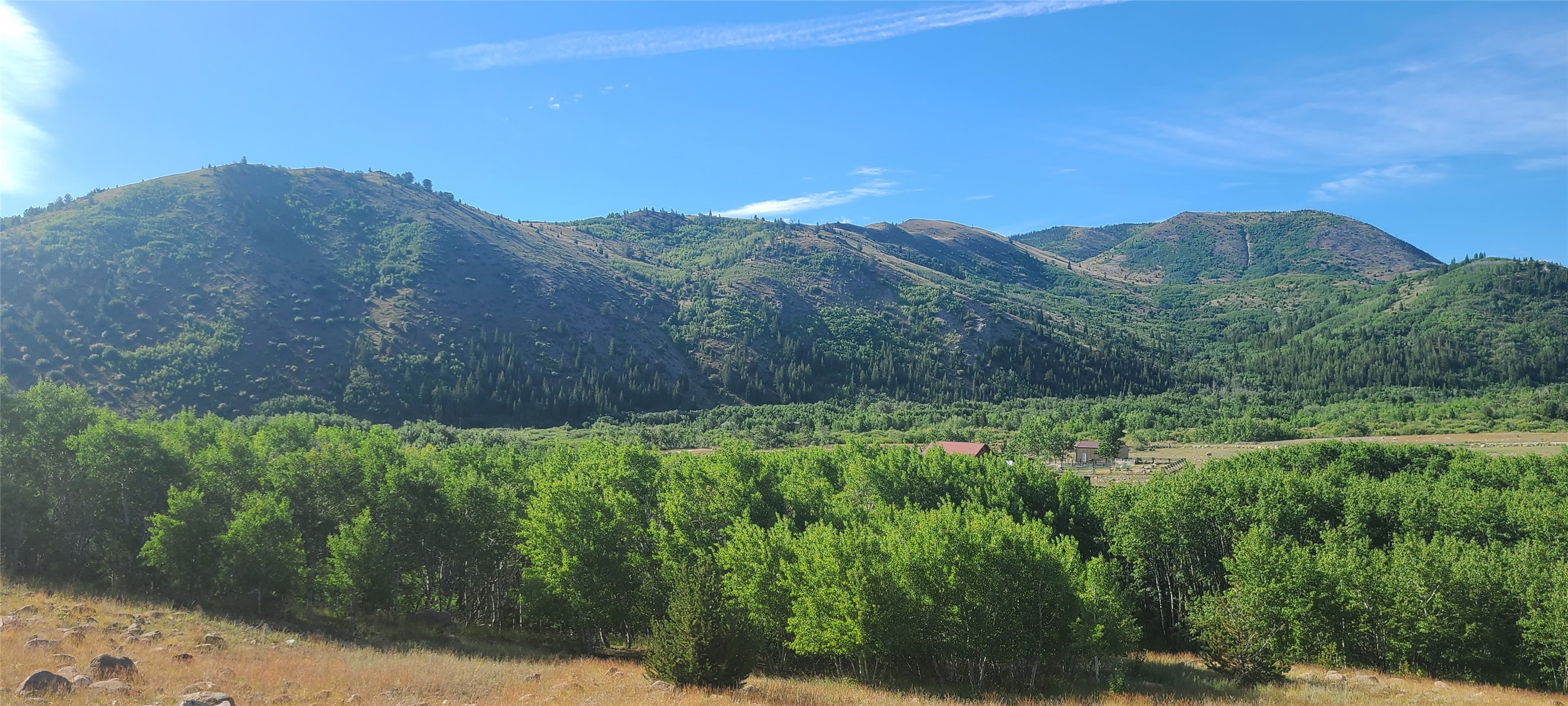 309 Bear Paw Trail Property Photo 34