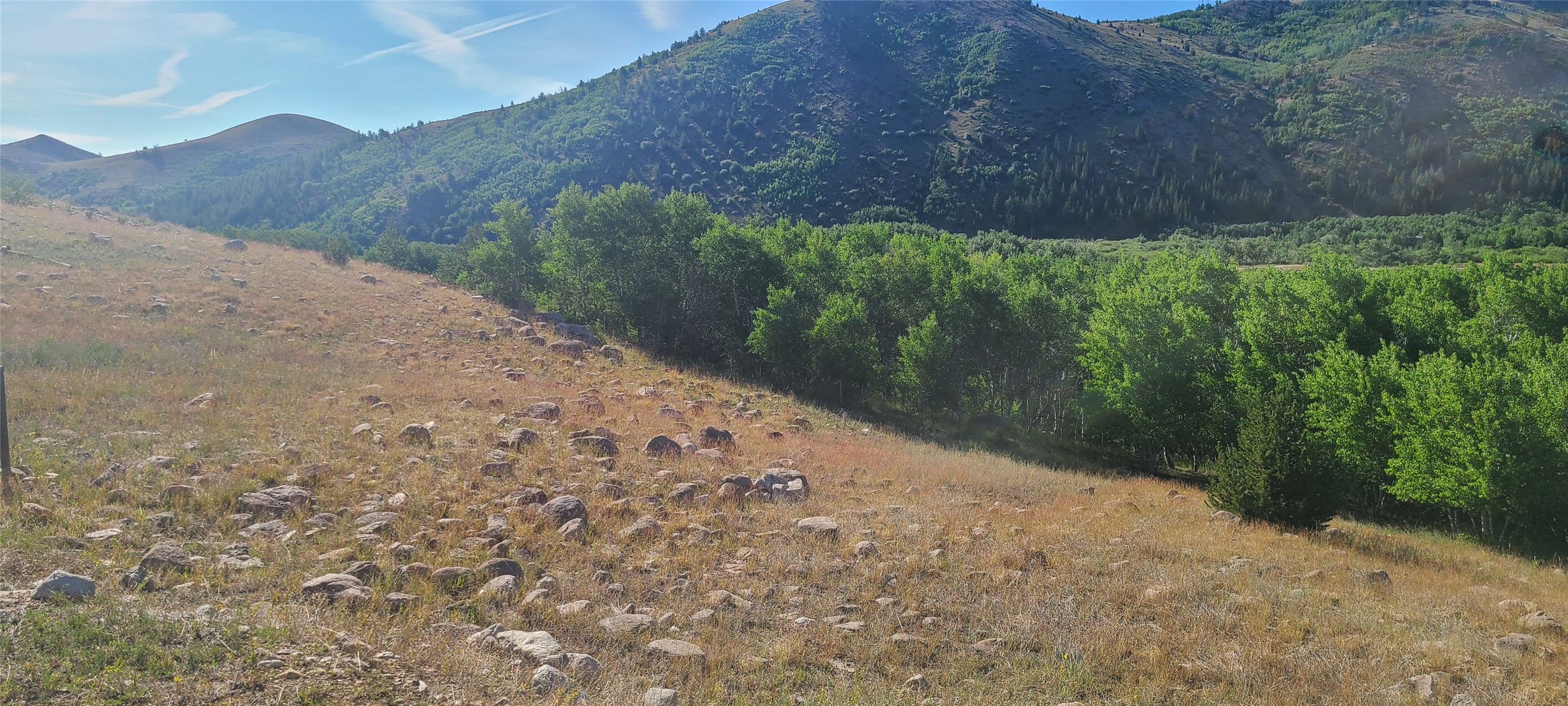 309 Bear Paw Trail Property Photo 36