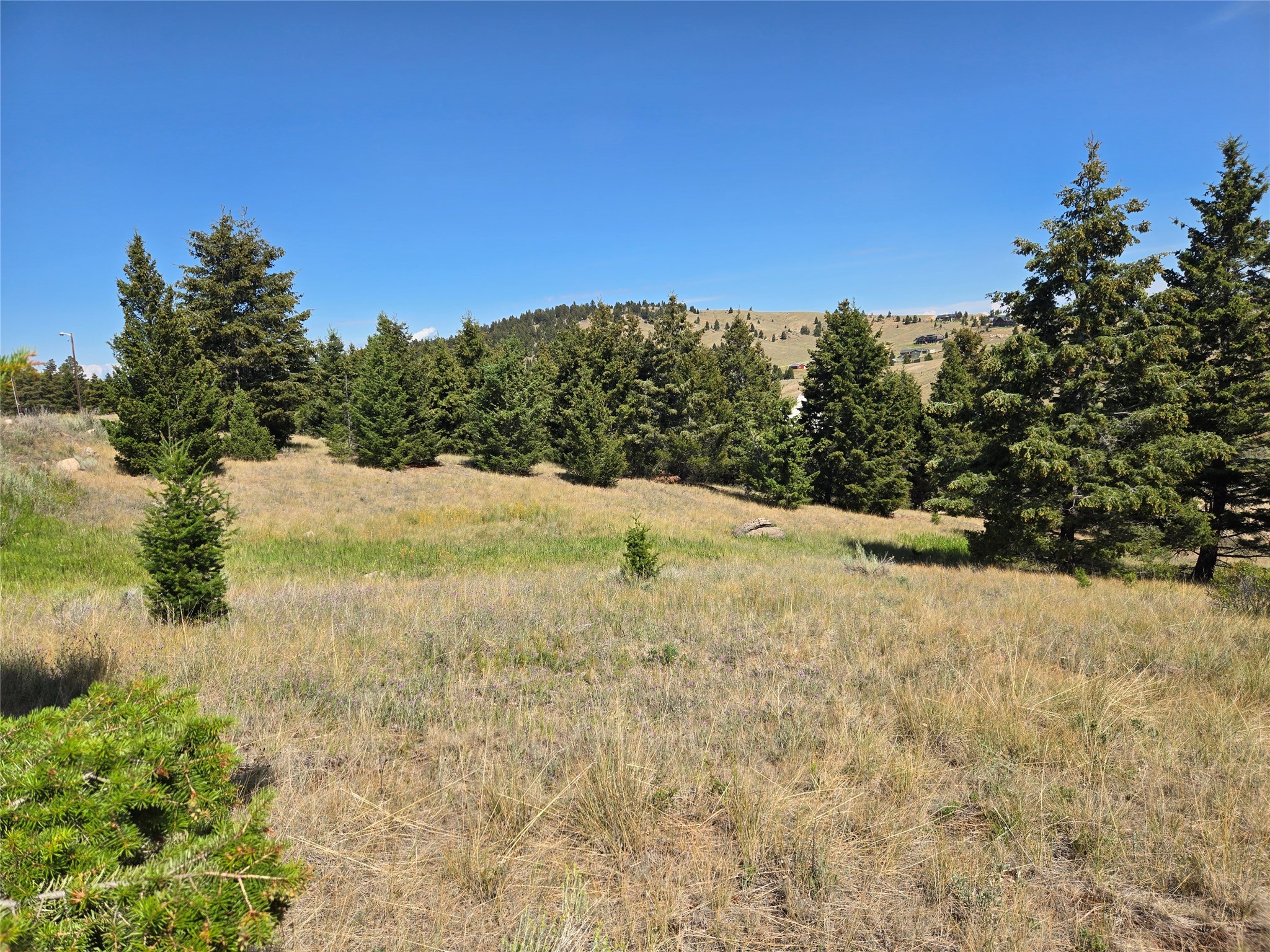 Lot 84 Chalet Loop Property Photo 4