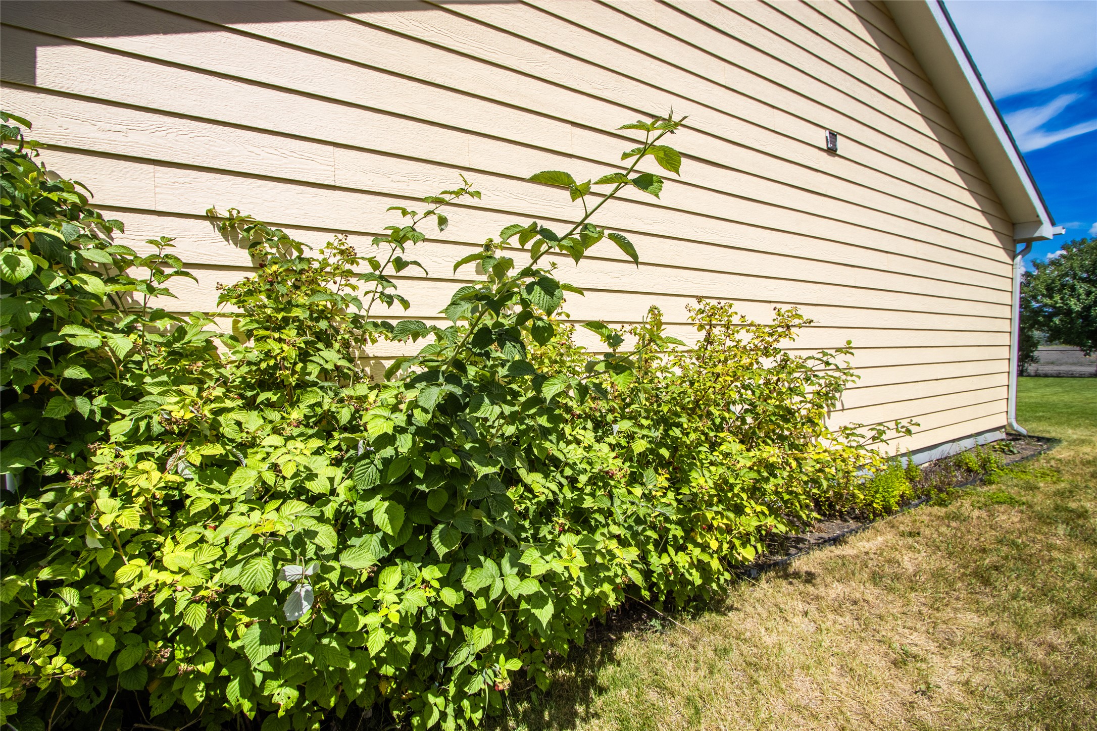1448 Klondyke Loop Property Photo 27