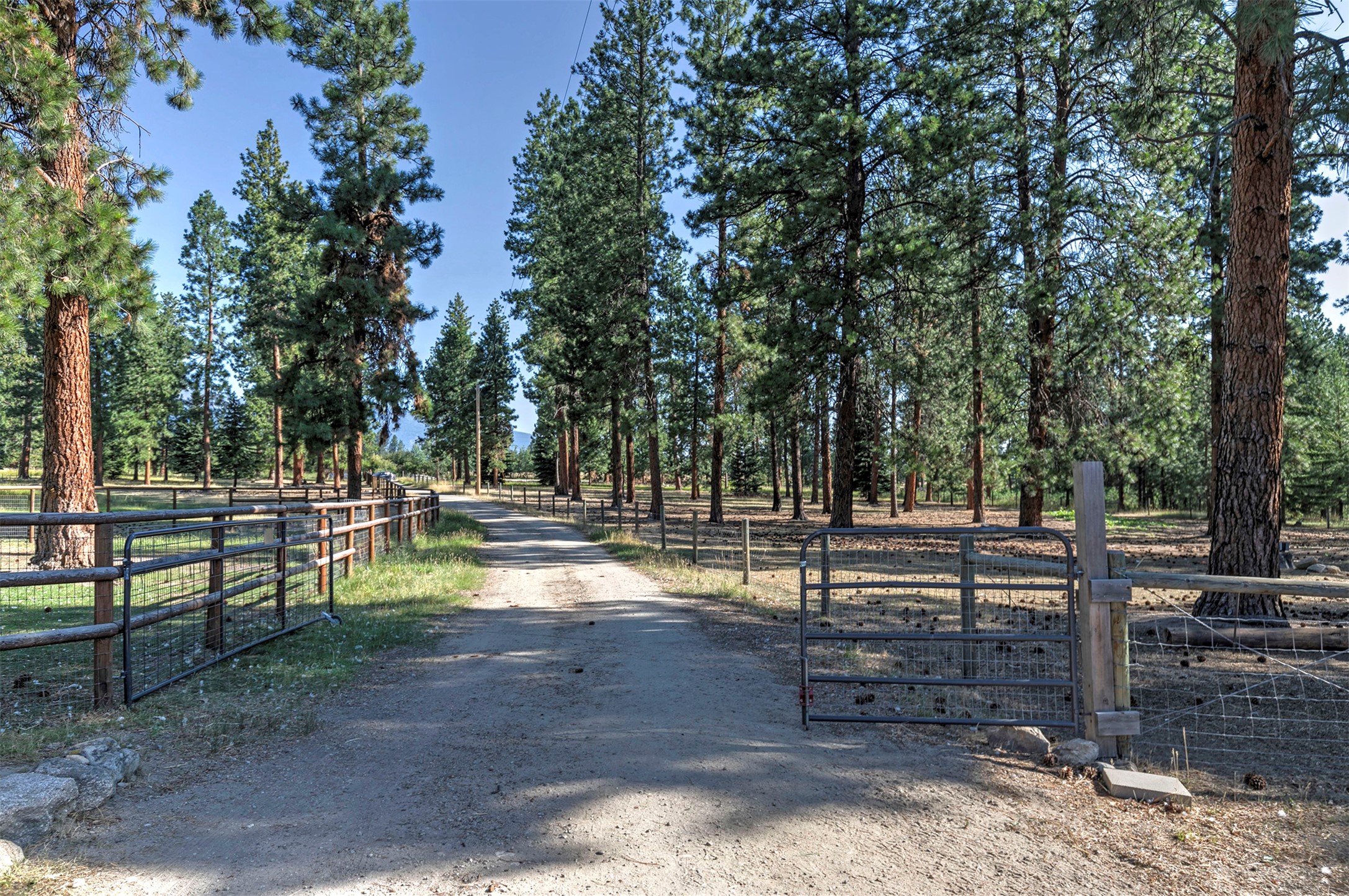 821 Fred Burr Road Property Photo 3