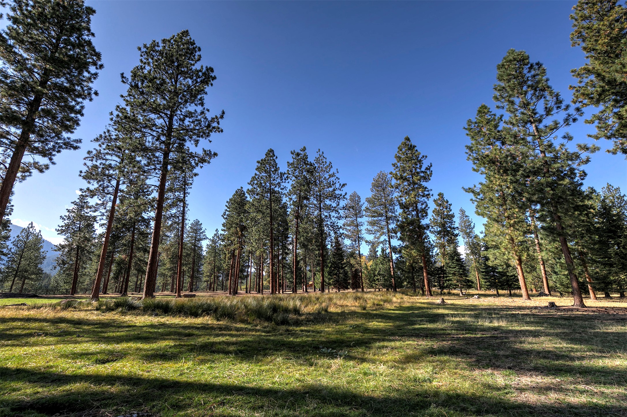 821 Fred Burr Road Property Photo 31