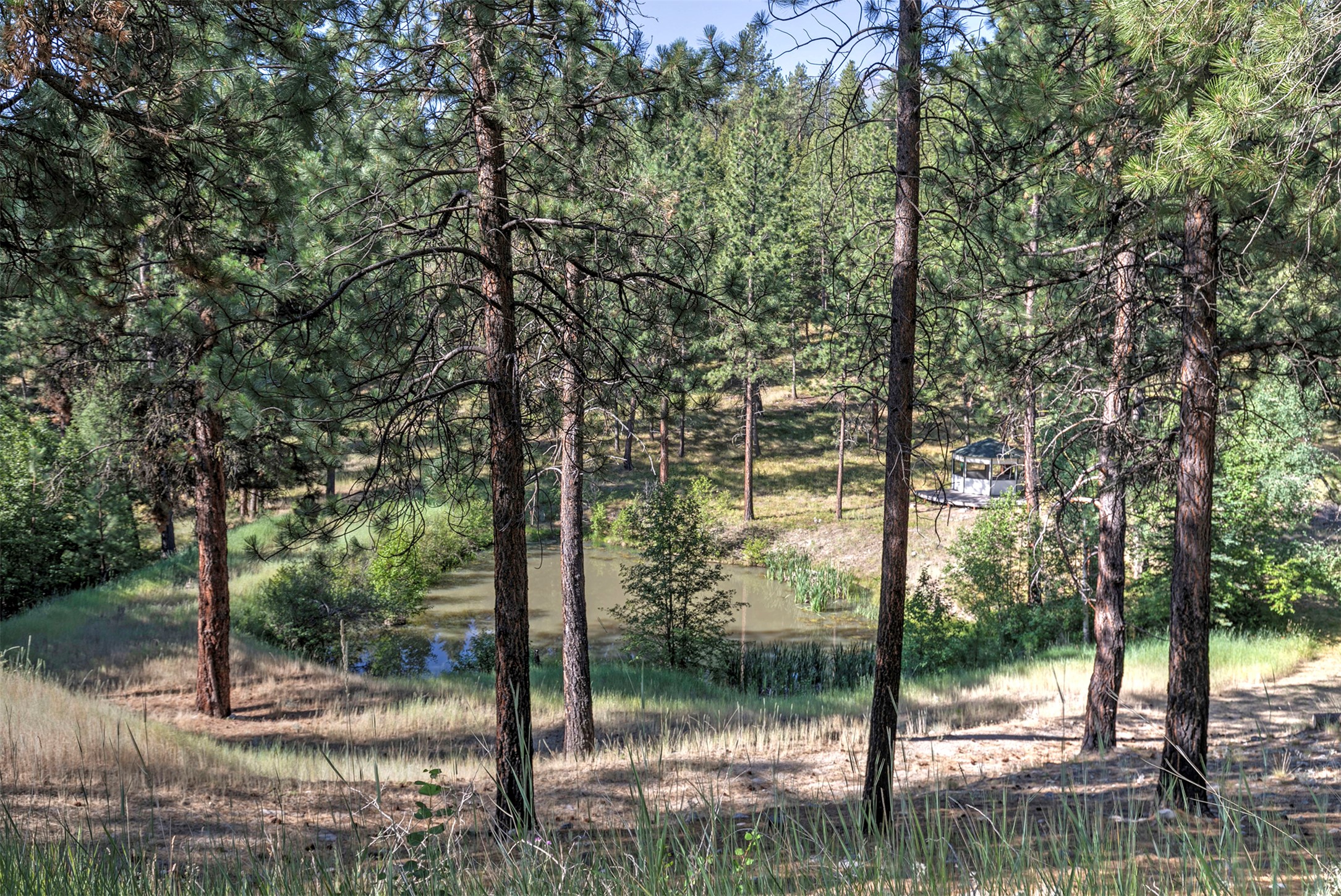 821 Fred Burr Road Property Photo 34