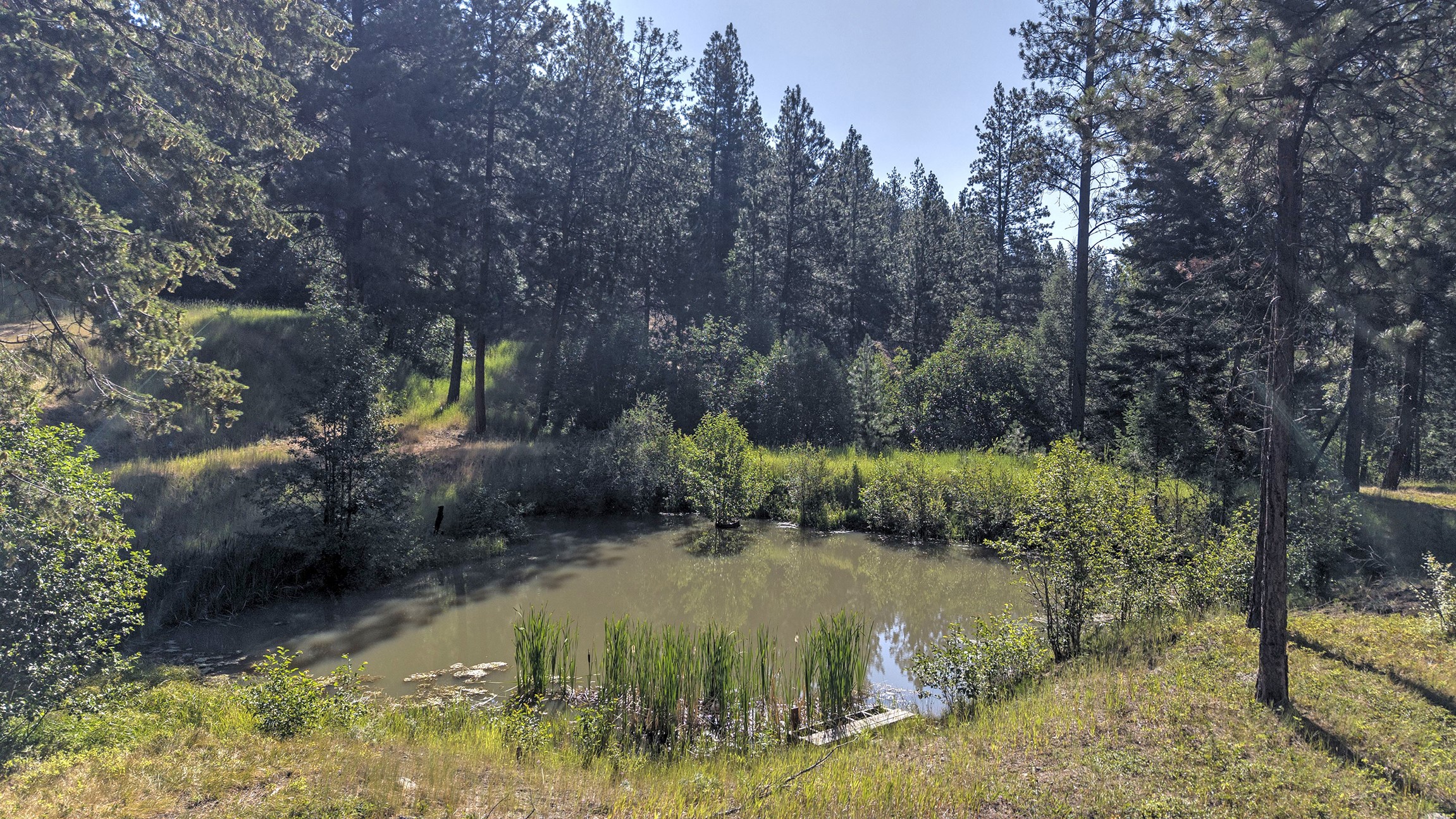 821 Fred Burr Road Property Photo 38