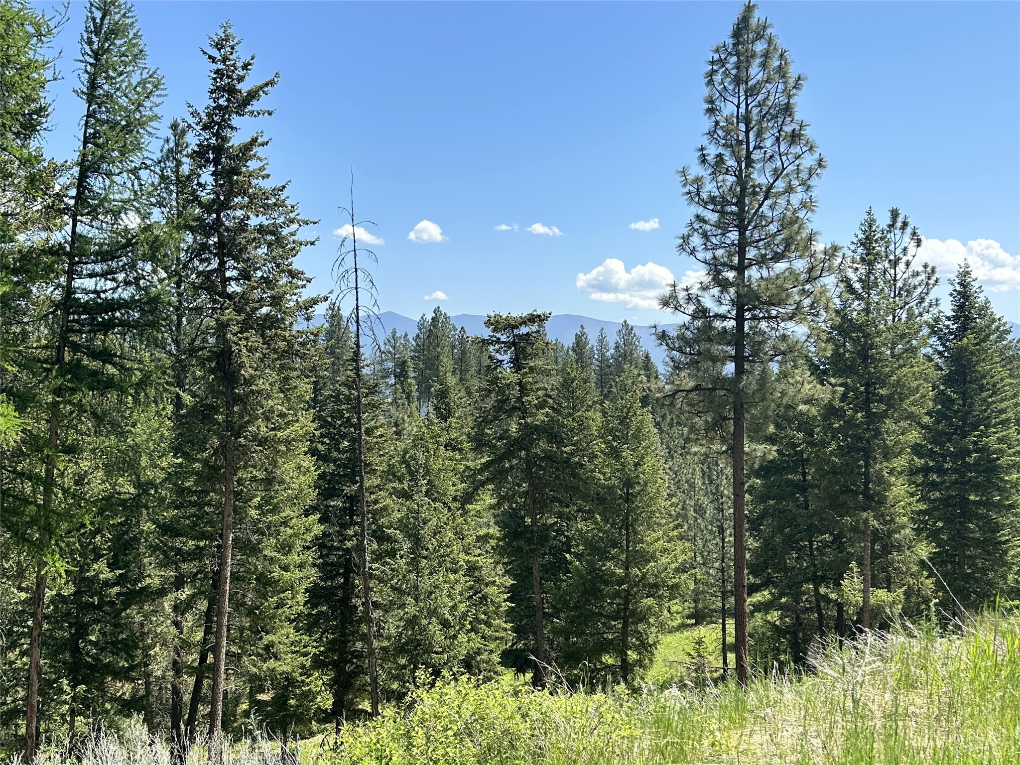 Lot 32 Hillandale Trail Property Photo 1