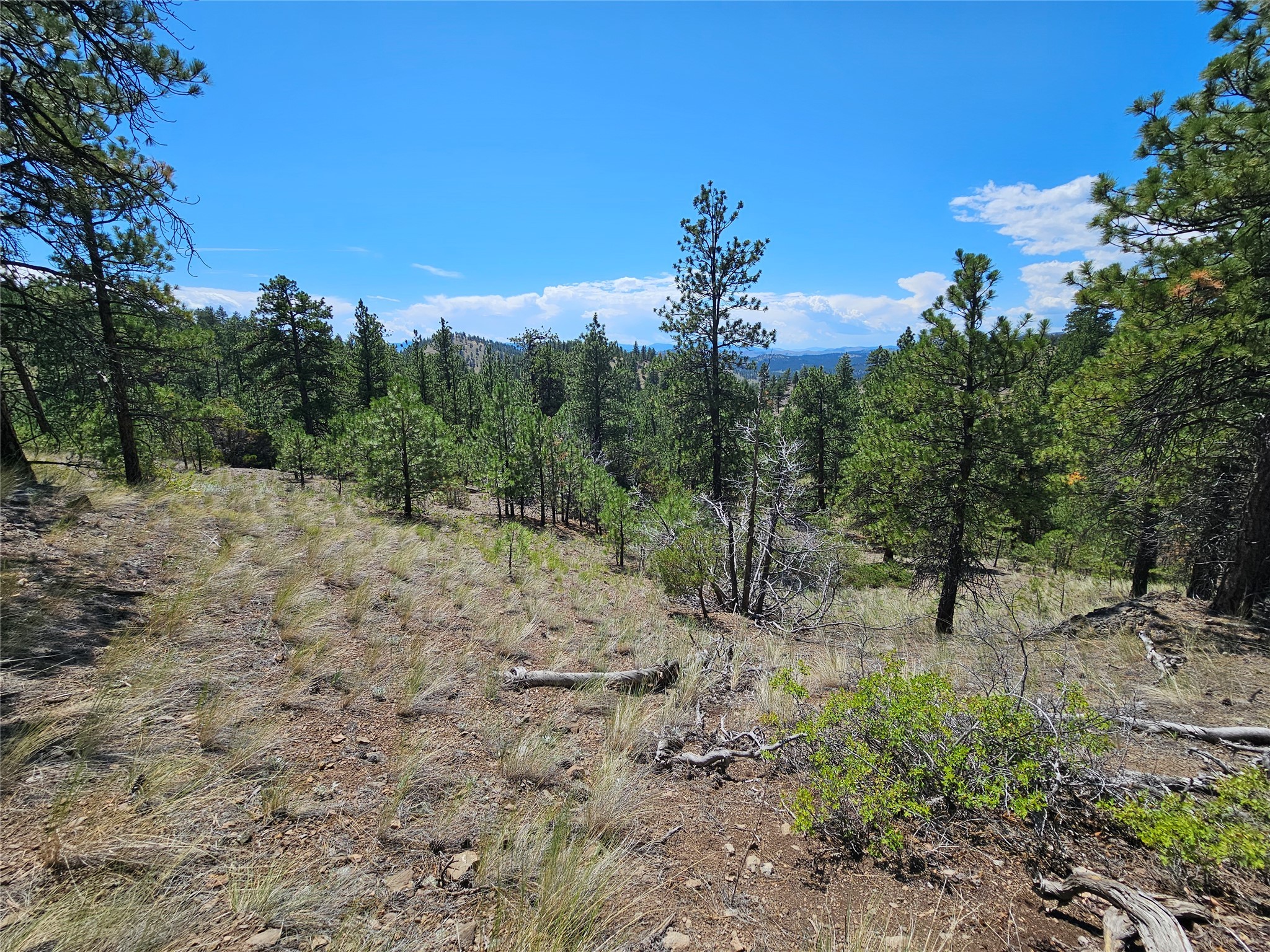 Nhn Upper Sawmill Creek Road Property Photo 1