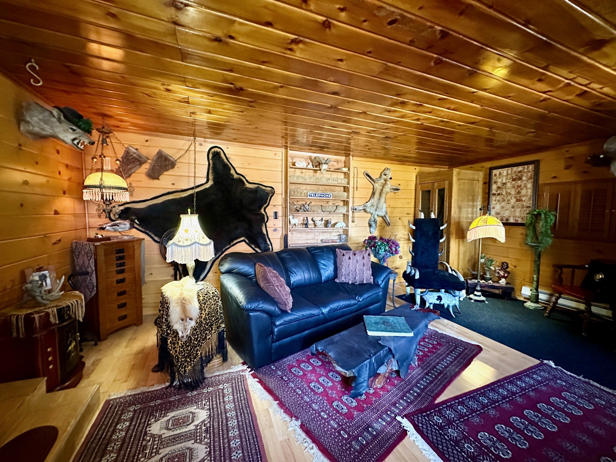 661 Dovetail Valentine Road Property Photo 38
