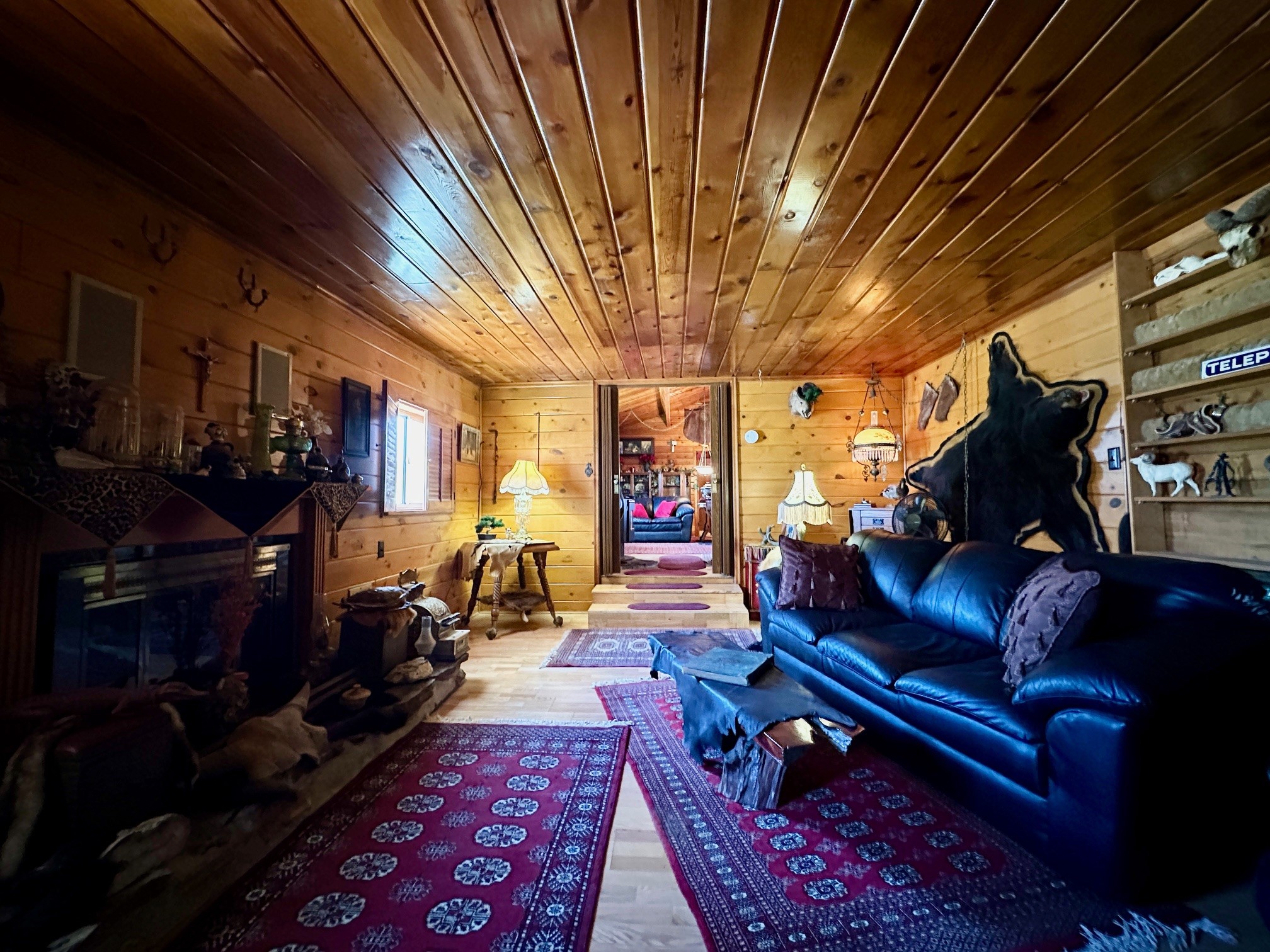 661 Dovetail Valentine Road Property Photo 40