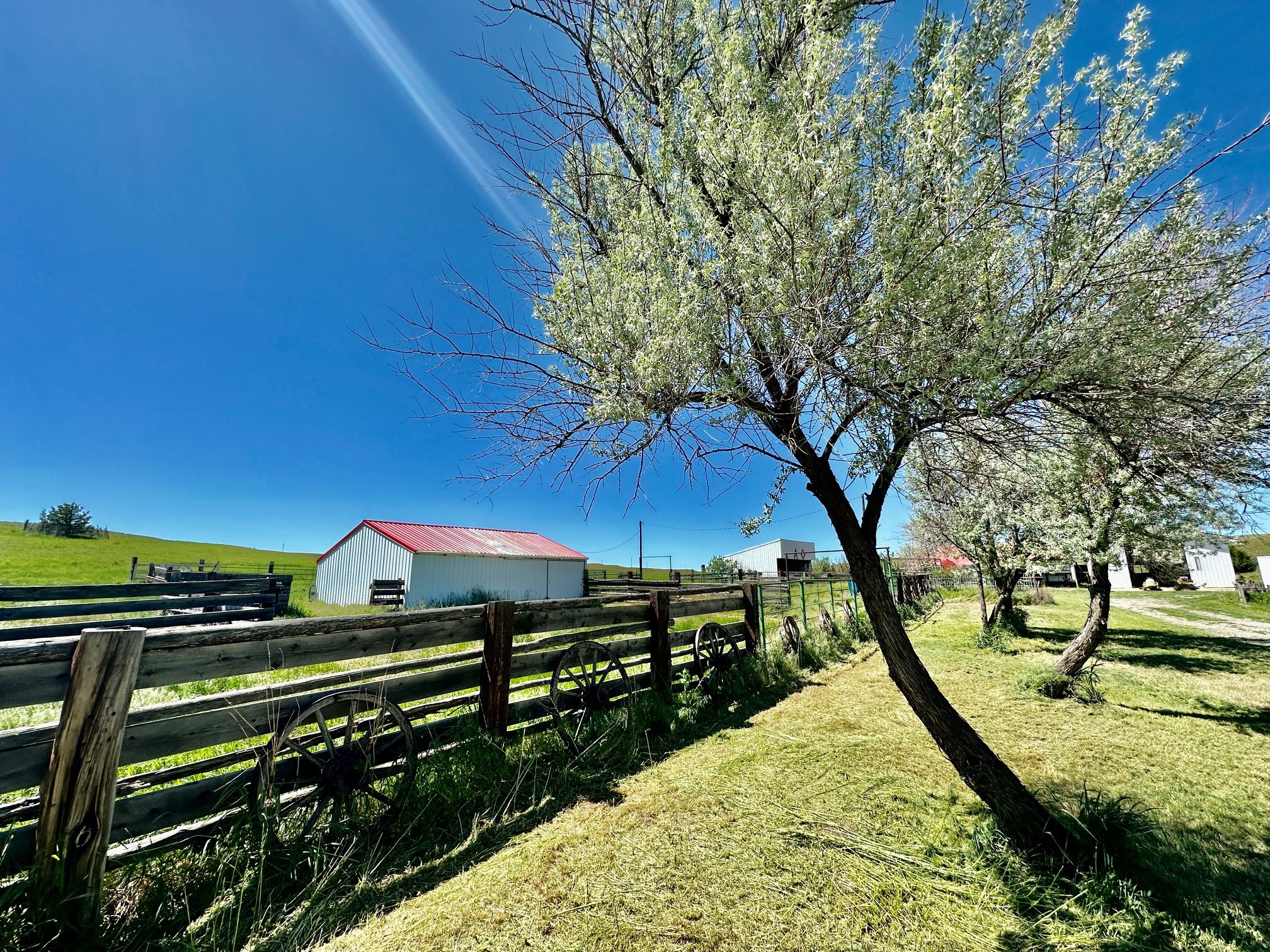 661 Dovetail Valentine Road Property Photo 106