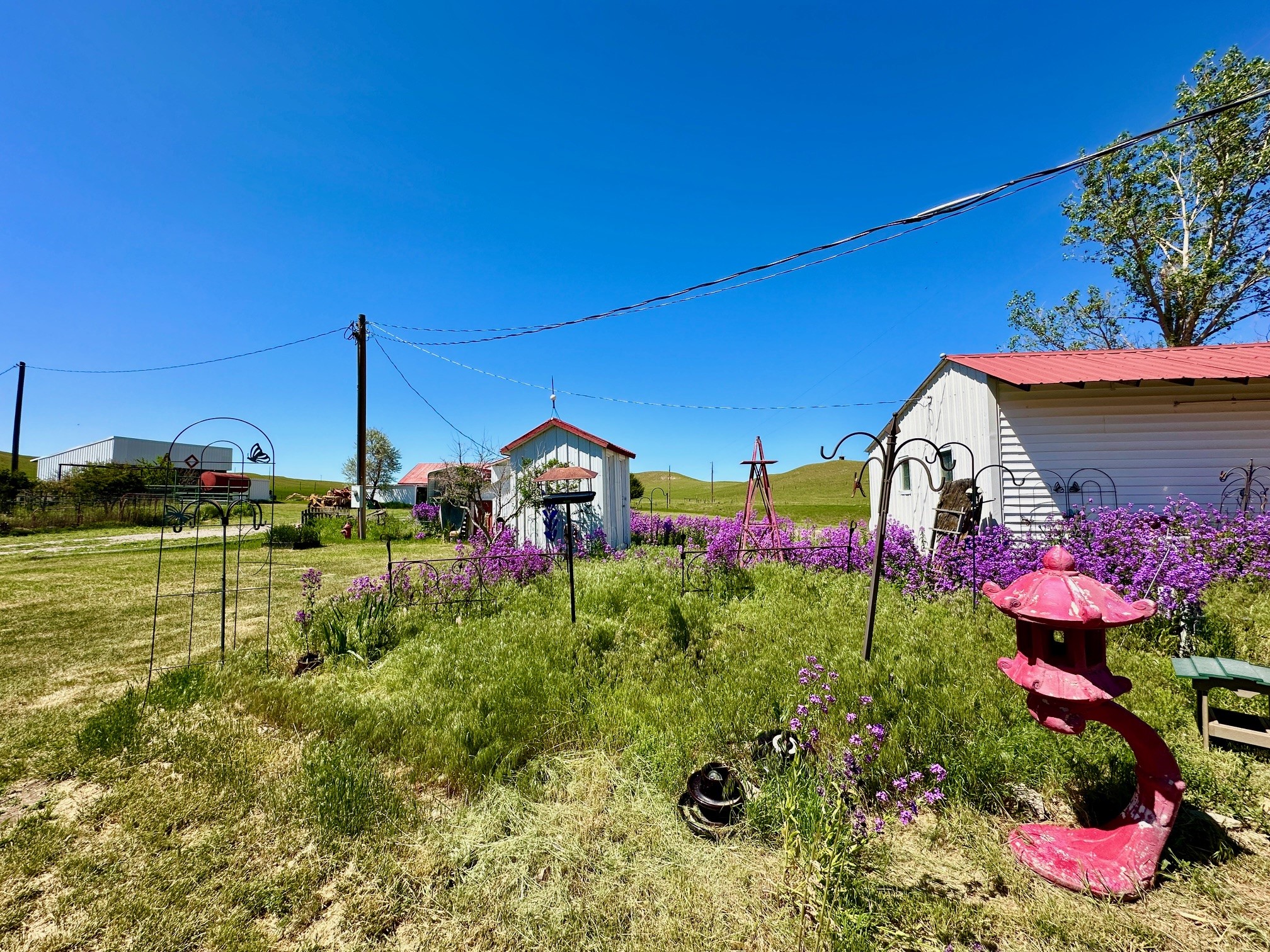 661 Dovetail Valentine Road Property Photo 116