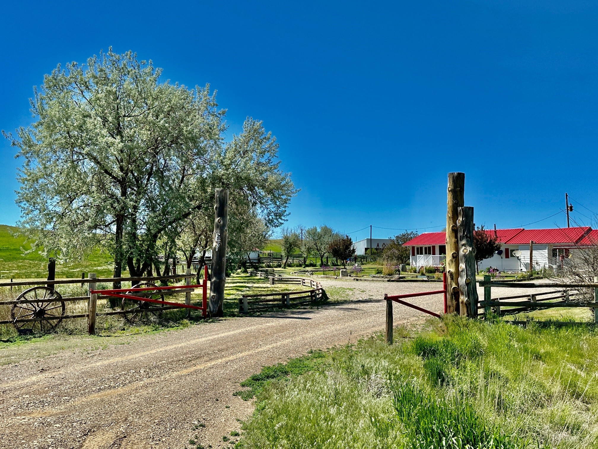 661 Dovetail Valentine Road Property Photo 125